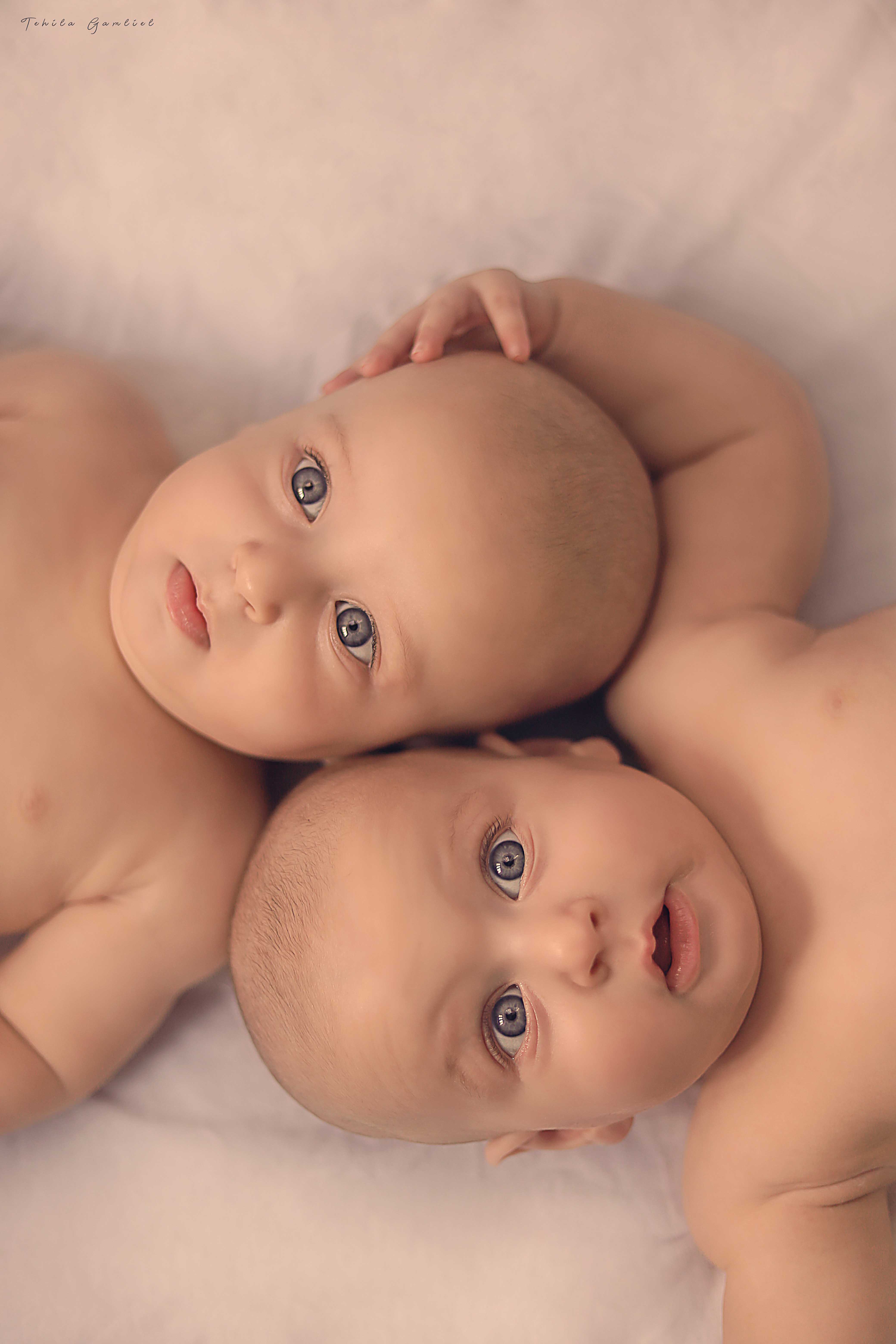 צילום : תהילה גמליאל 0556783301