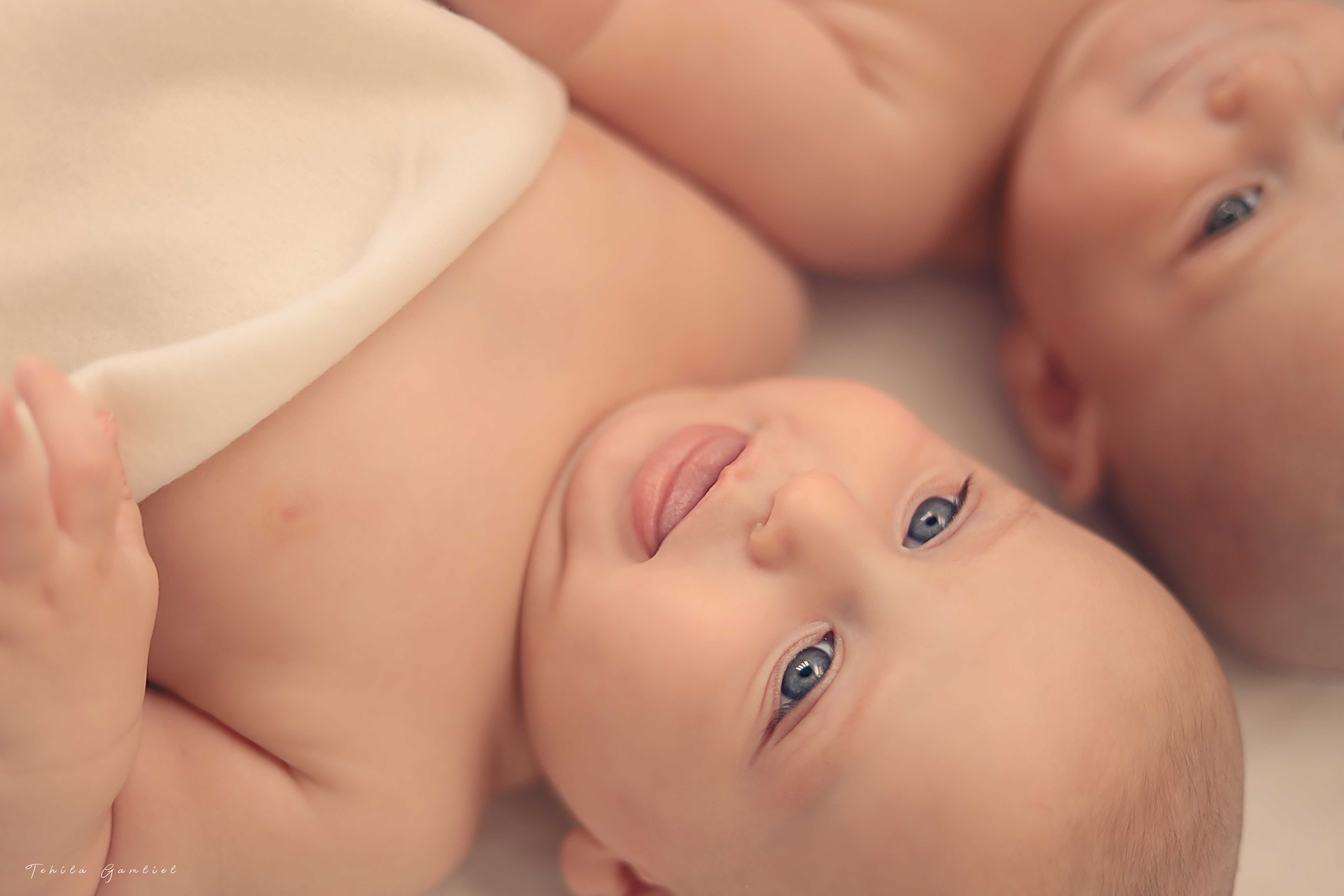 צילום : תהילה גמליאל 0556783301