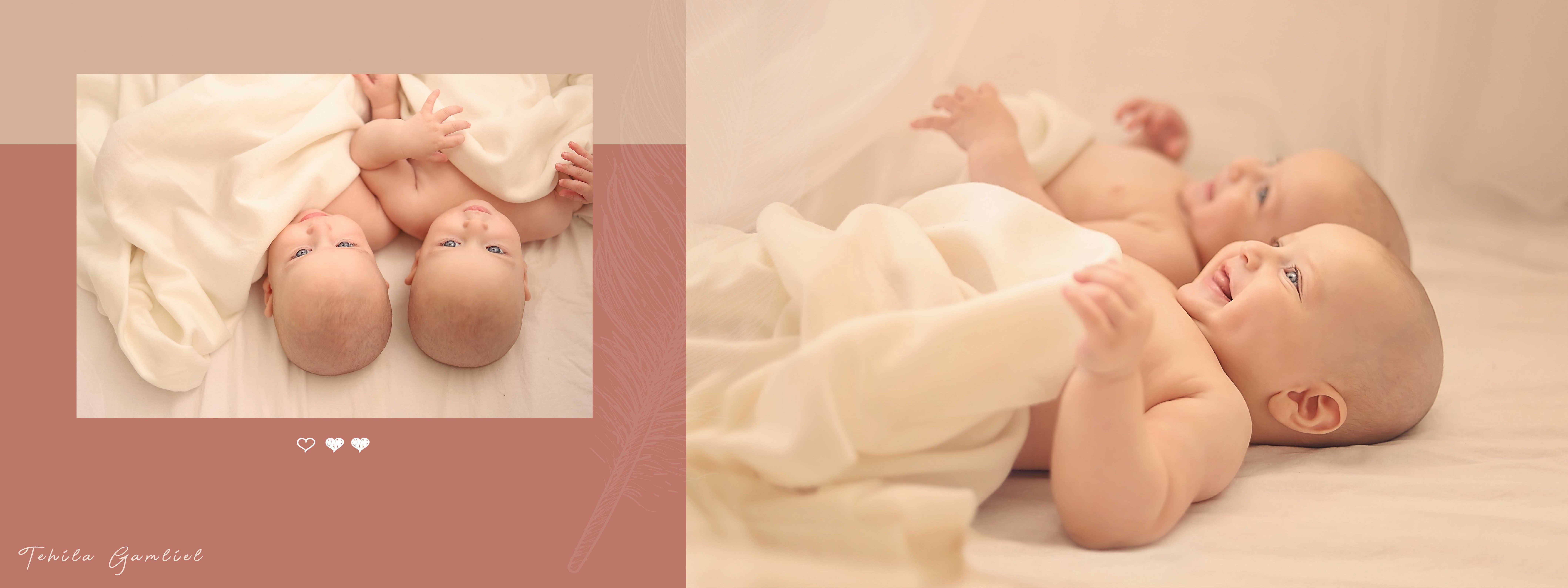 צילום : תהילה גמליאל 0556783301