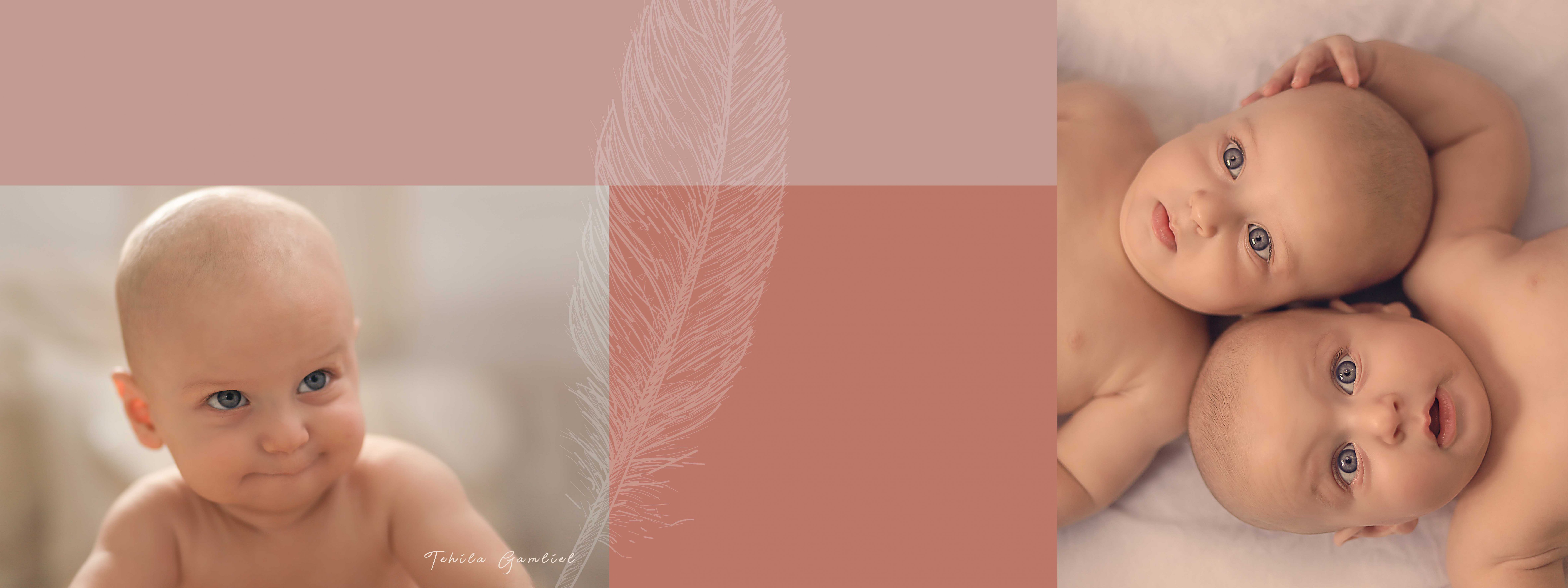 צילום : תהילה גמליאל 0556783301