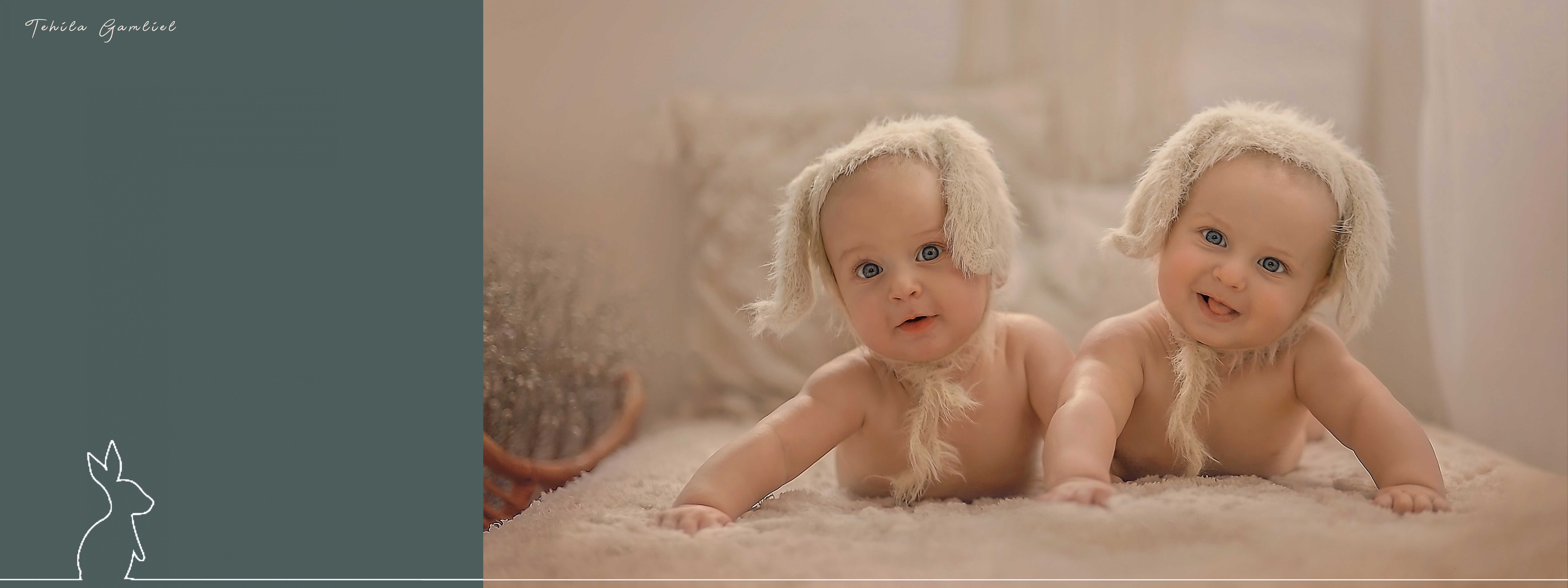 צילום : תהילה גמליאל 0556783301