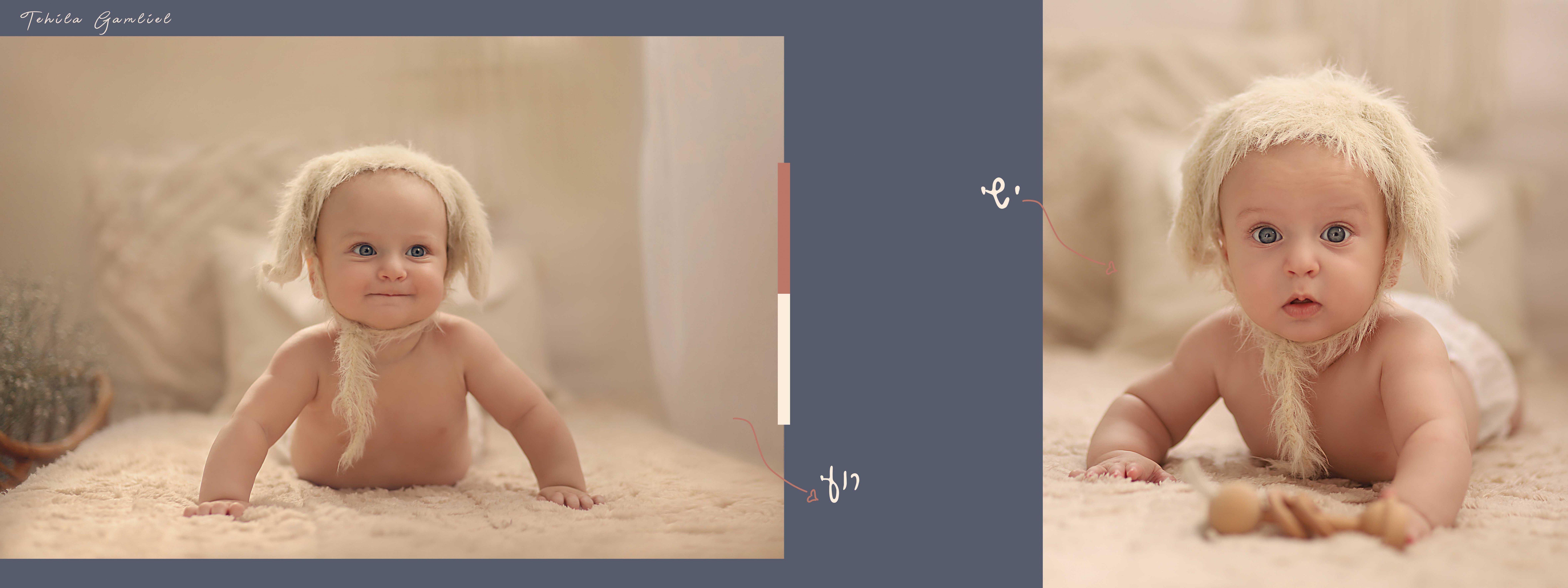 צילום : תהילה גמליאל 0556783301