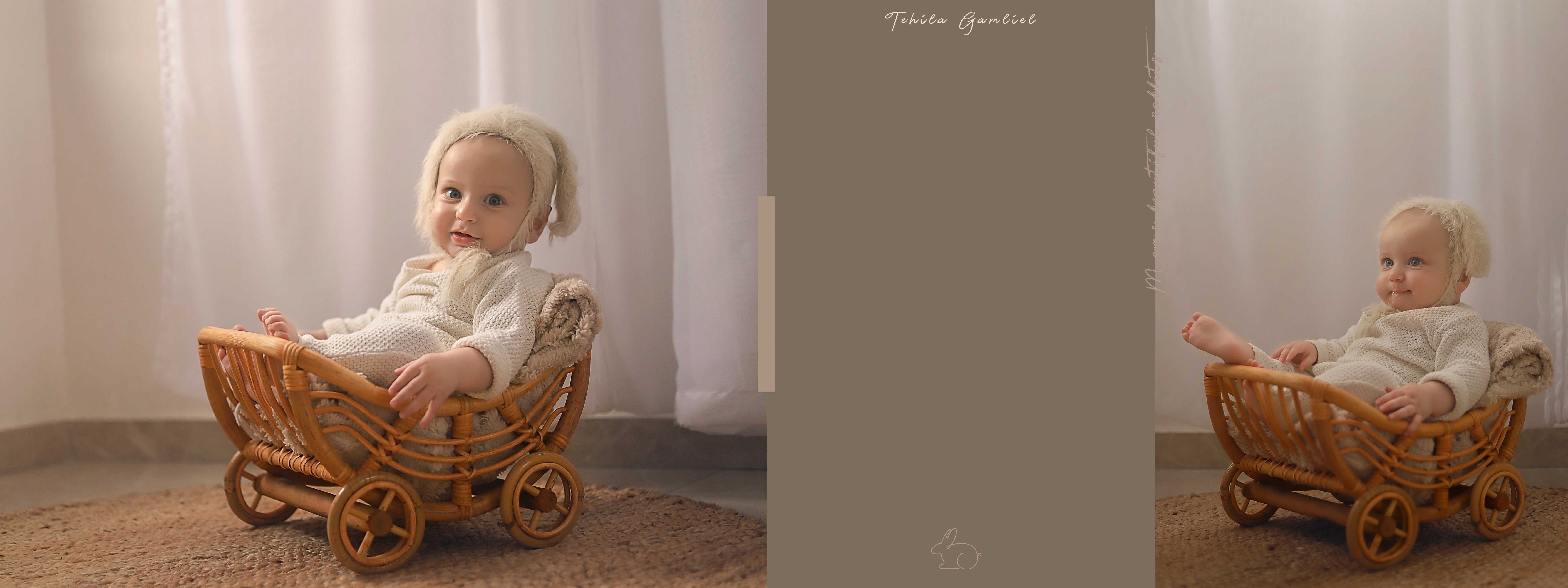 צילום : תהילה גמליאל 0556783301