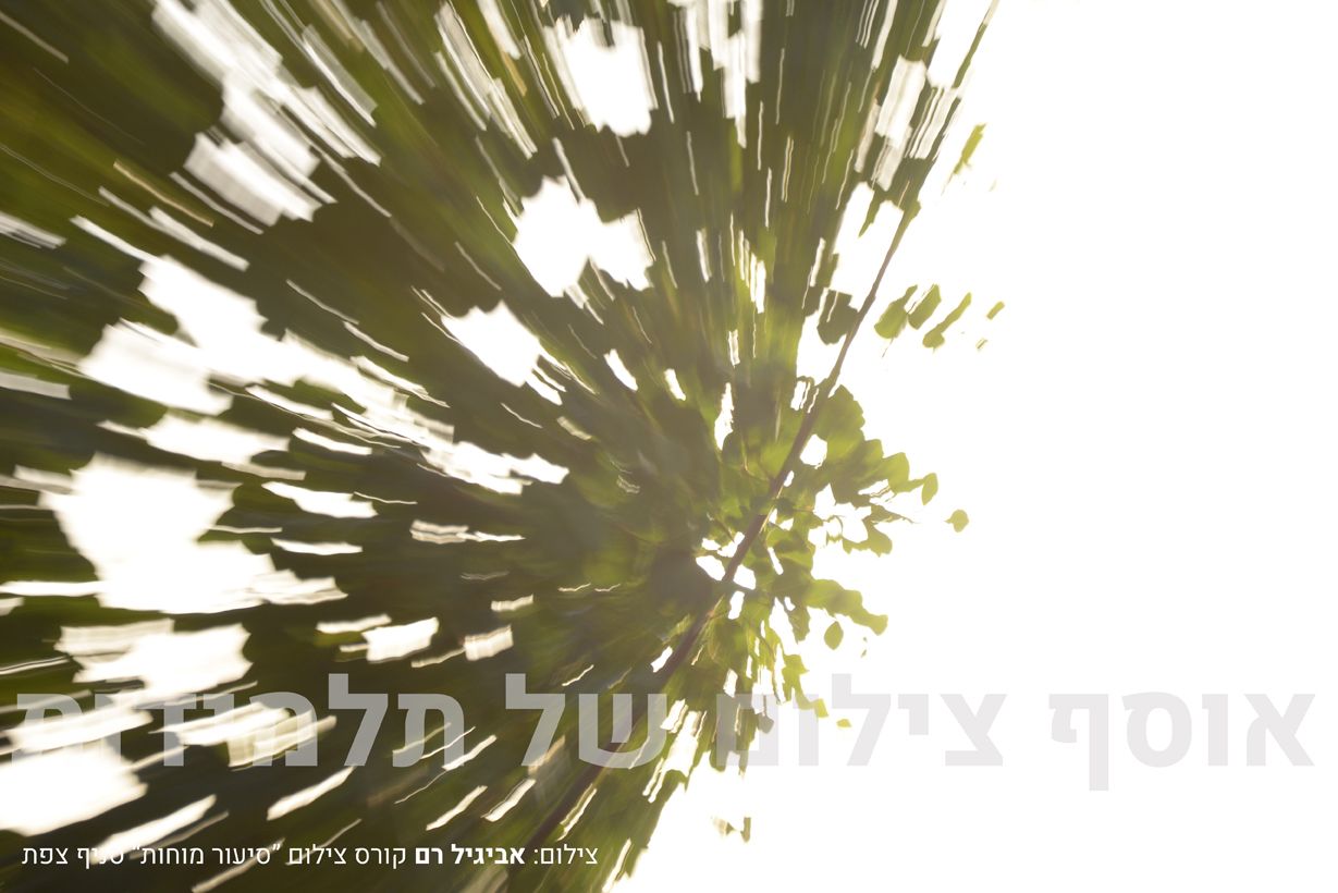 צילום תלמידות (20).jpg