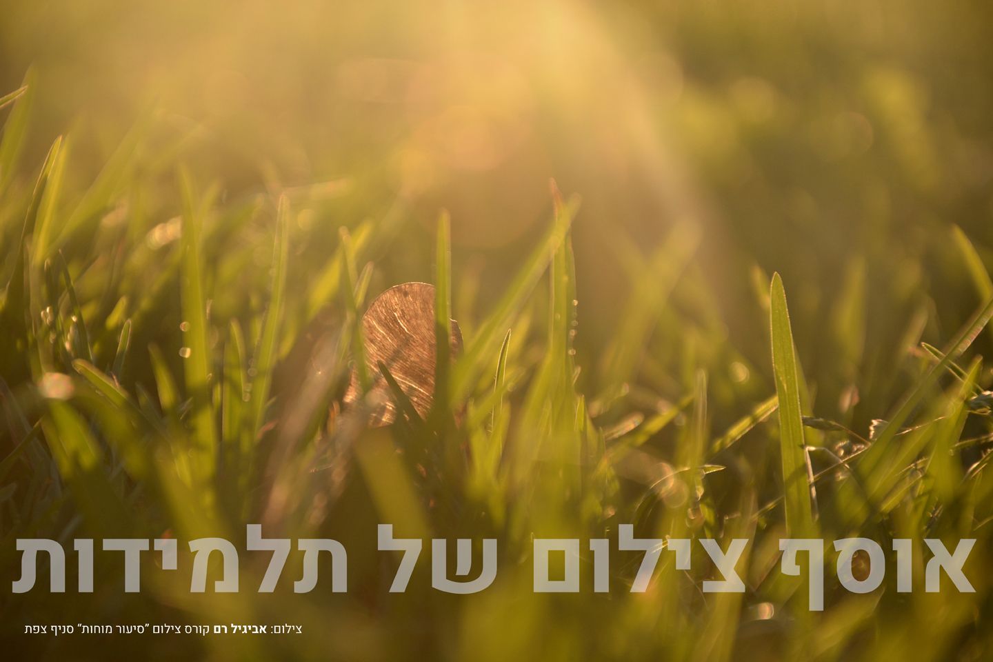 צילום תלמידות (22).jpg