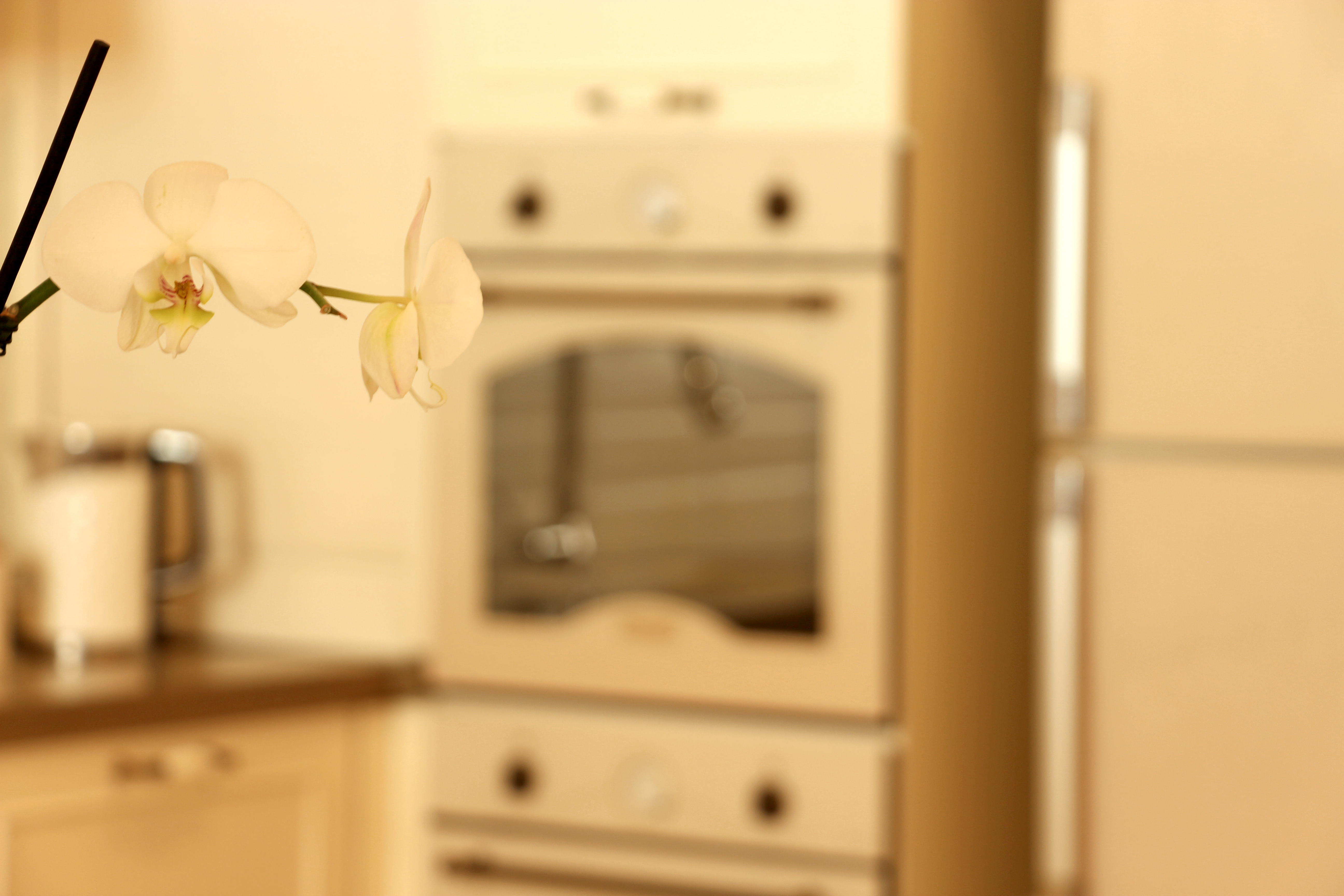 צילומי אדריכלות