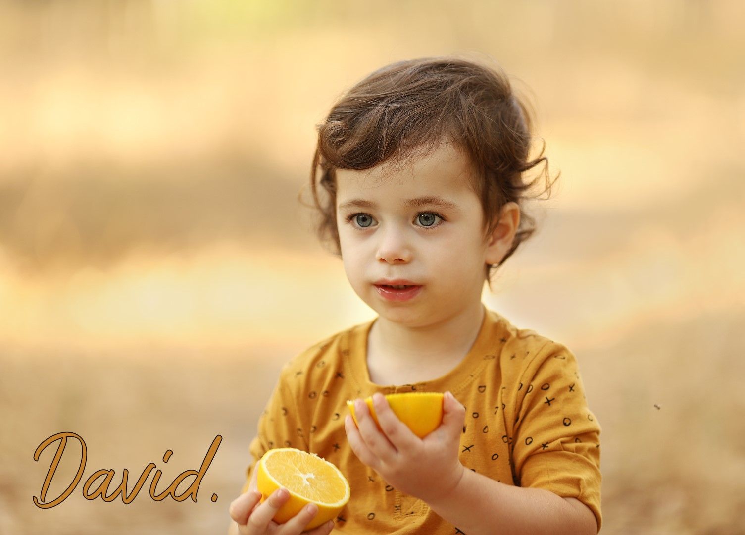 צילומי חוץ מלכי פיליפ 0583277982