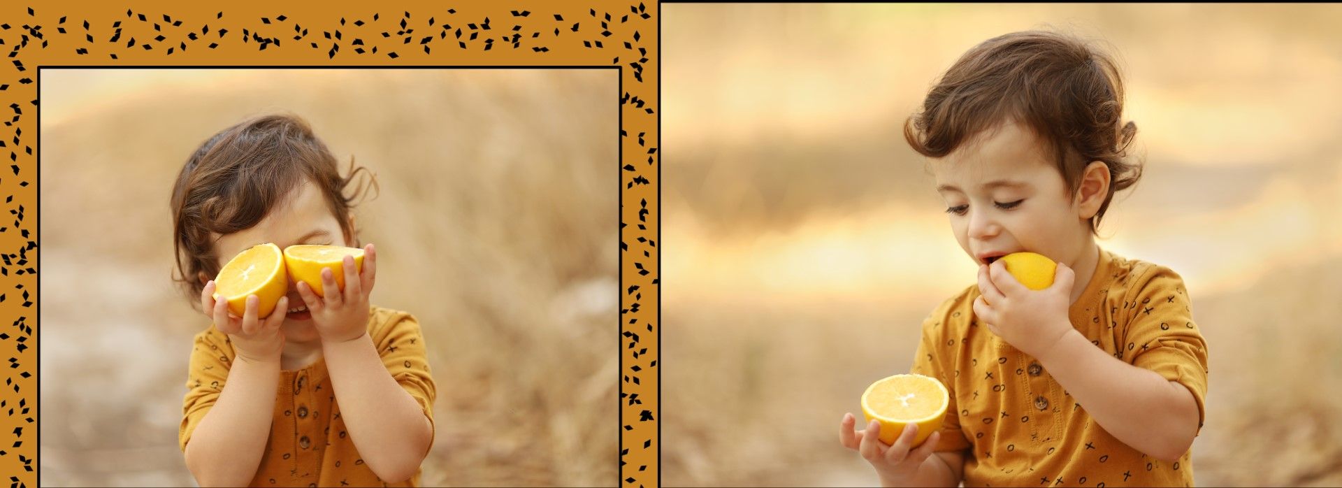 צילומי חוץ מלכי פיליפ 0583277982