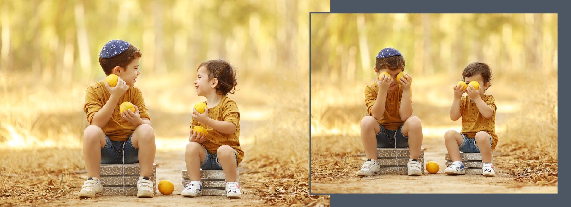 צילומי חוץ מלכי פיליפ 0583277982