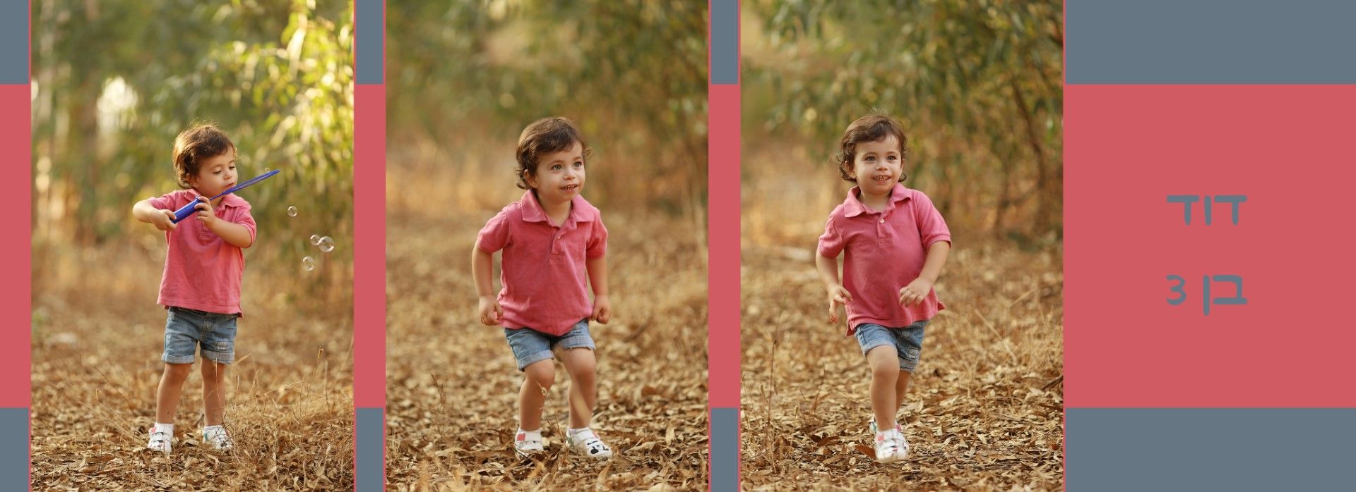 צילומי חוץ מלכי פיליפ 0583277982