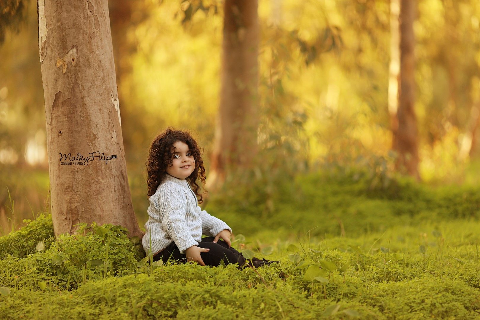 צילומי חוץ מלכי פיליפ 0583277982