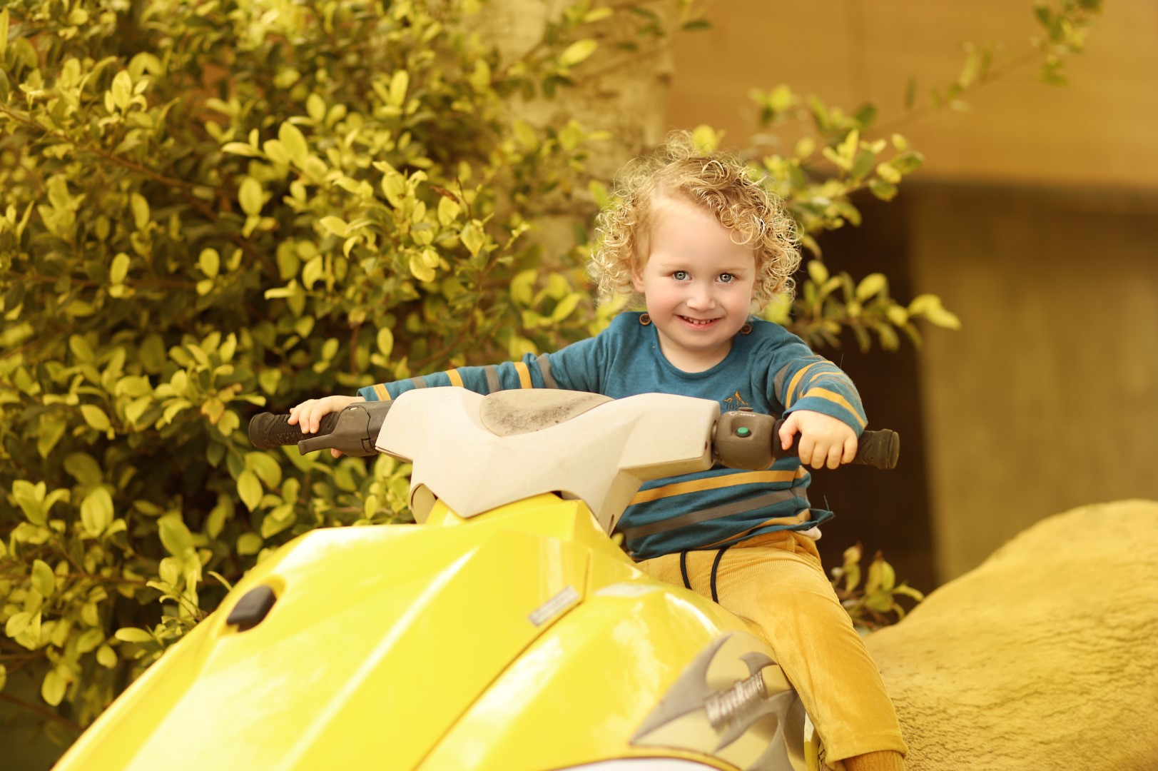צילומי חוץ מלכי פיליפ