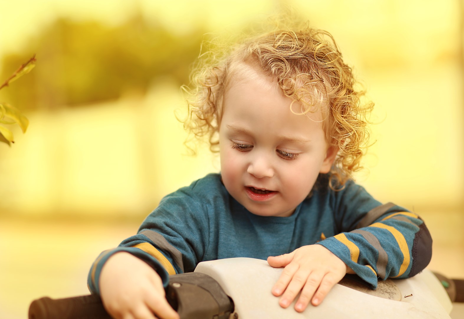 צילומי חוץ מלכי פיליפ