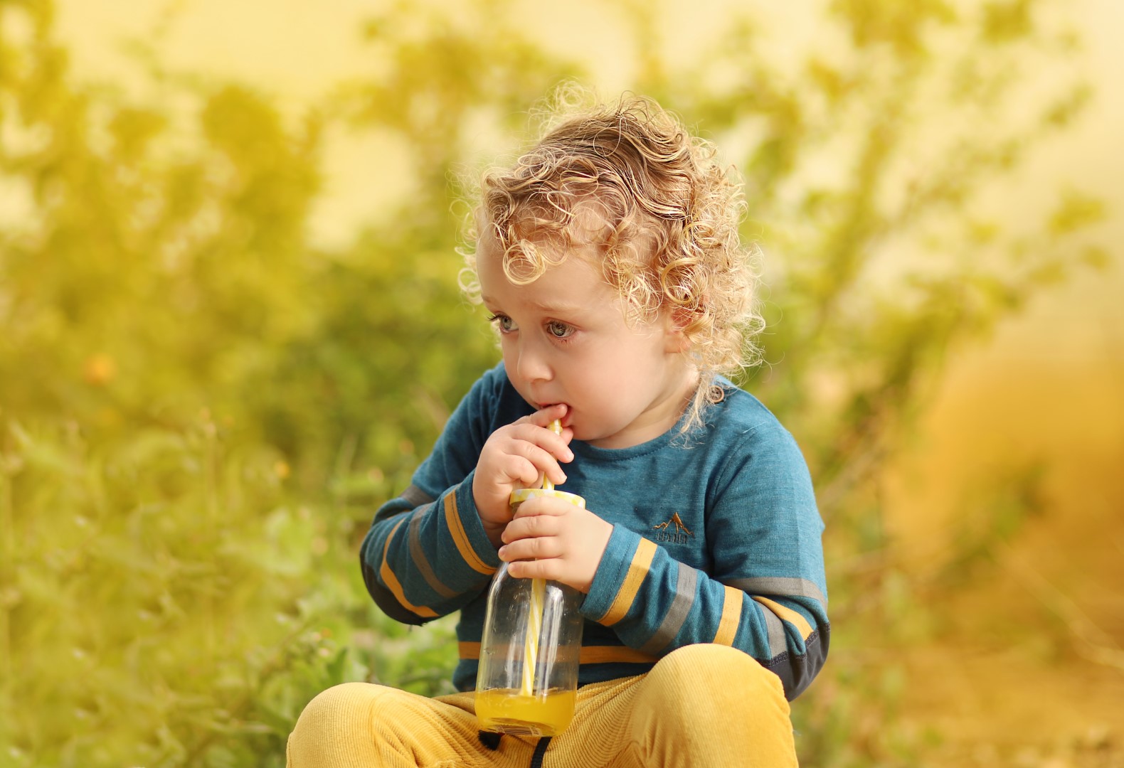 צילומי חוץ מלכי פיליפ