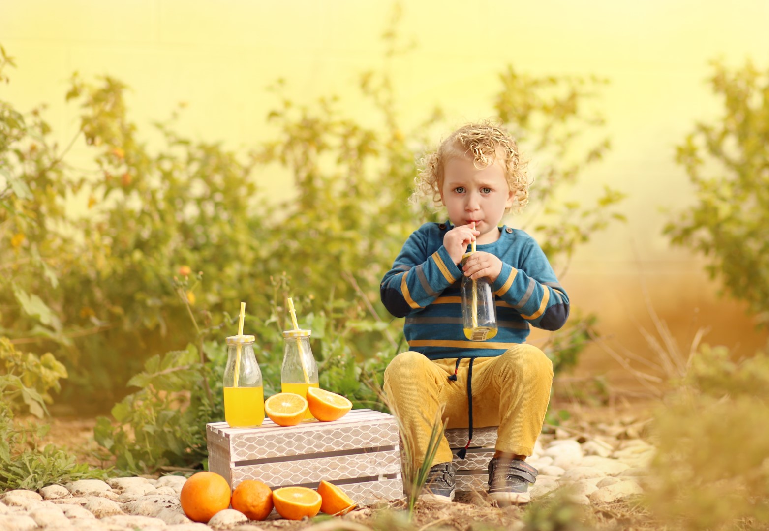 צילומי חוץ מלכי פיליפ