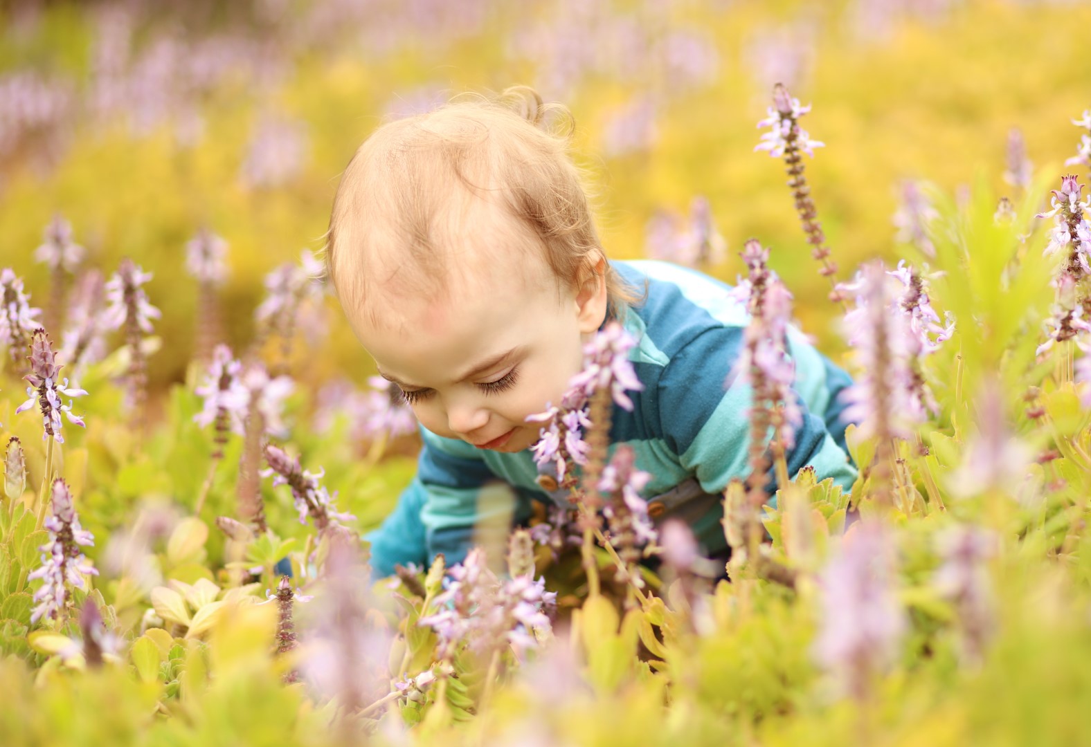 צילומי חוץ מלכי פיליפ