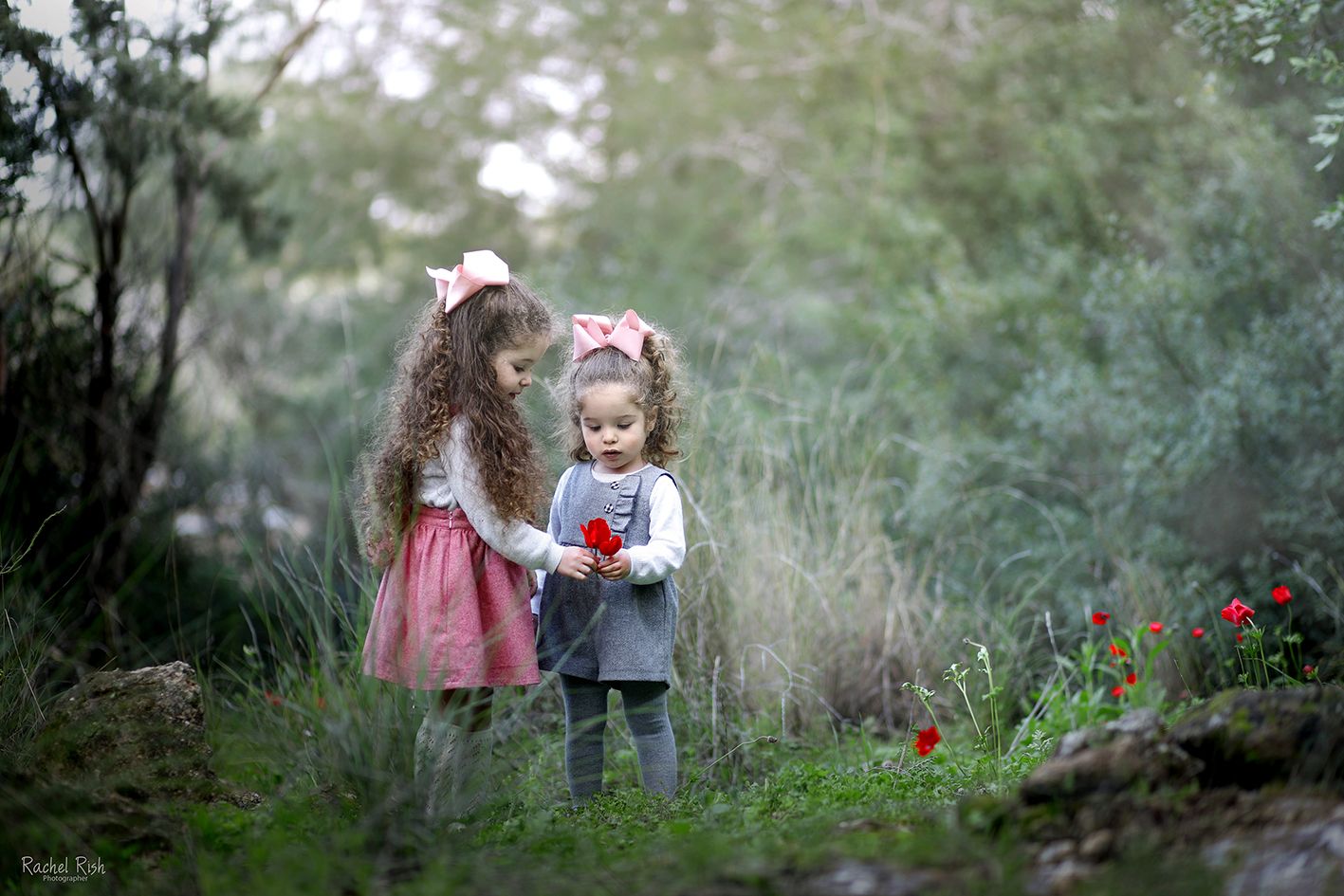 צילומי ילדים רחל ריש