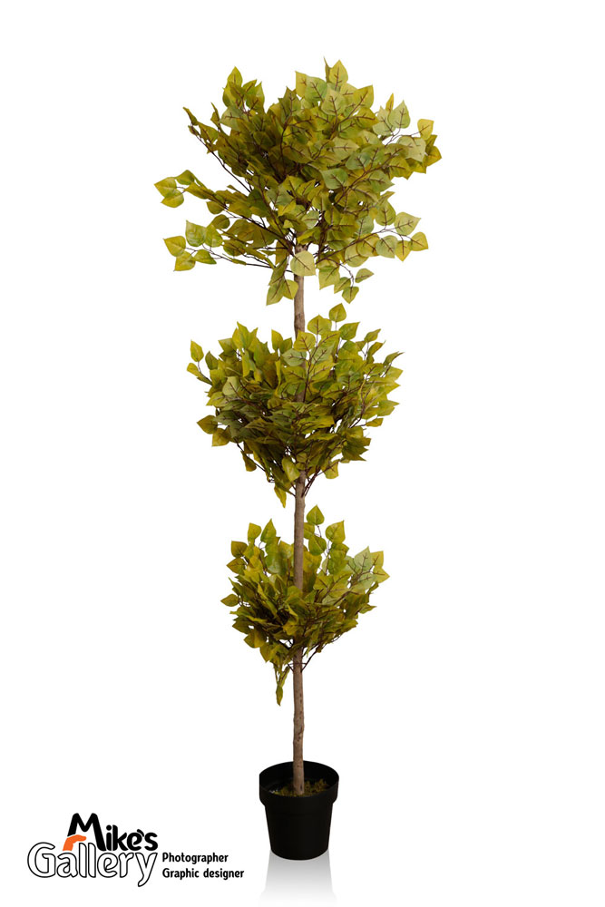 צילומי מוצר