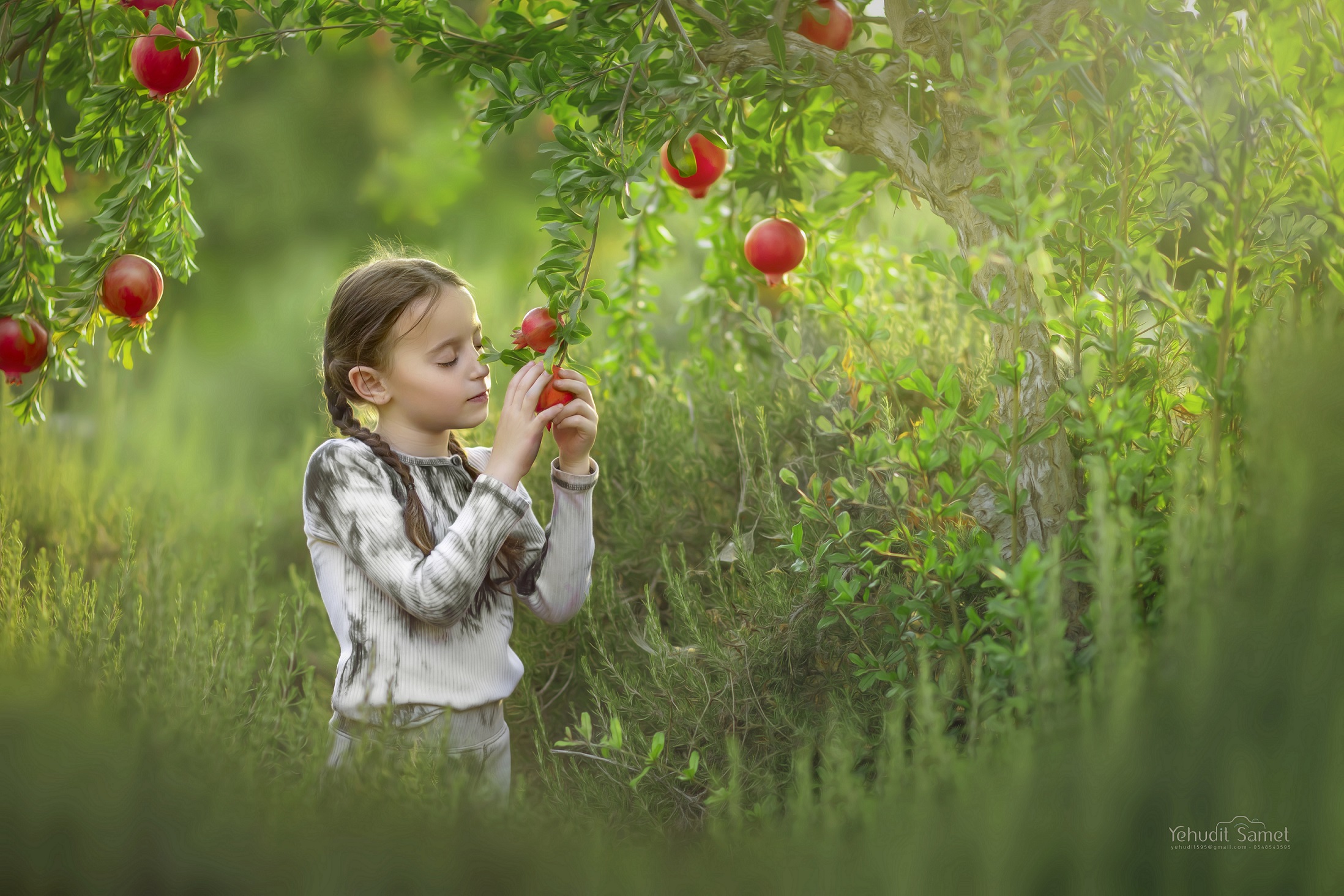 צילומי ר''ה יהודית סמט 0548543595.jpg