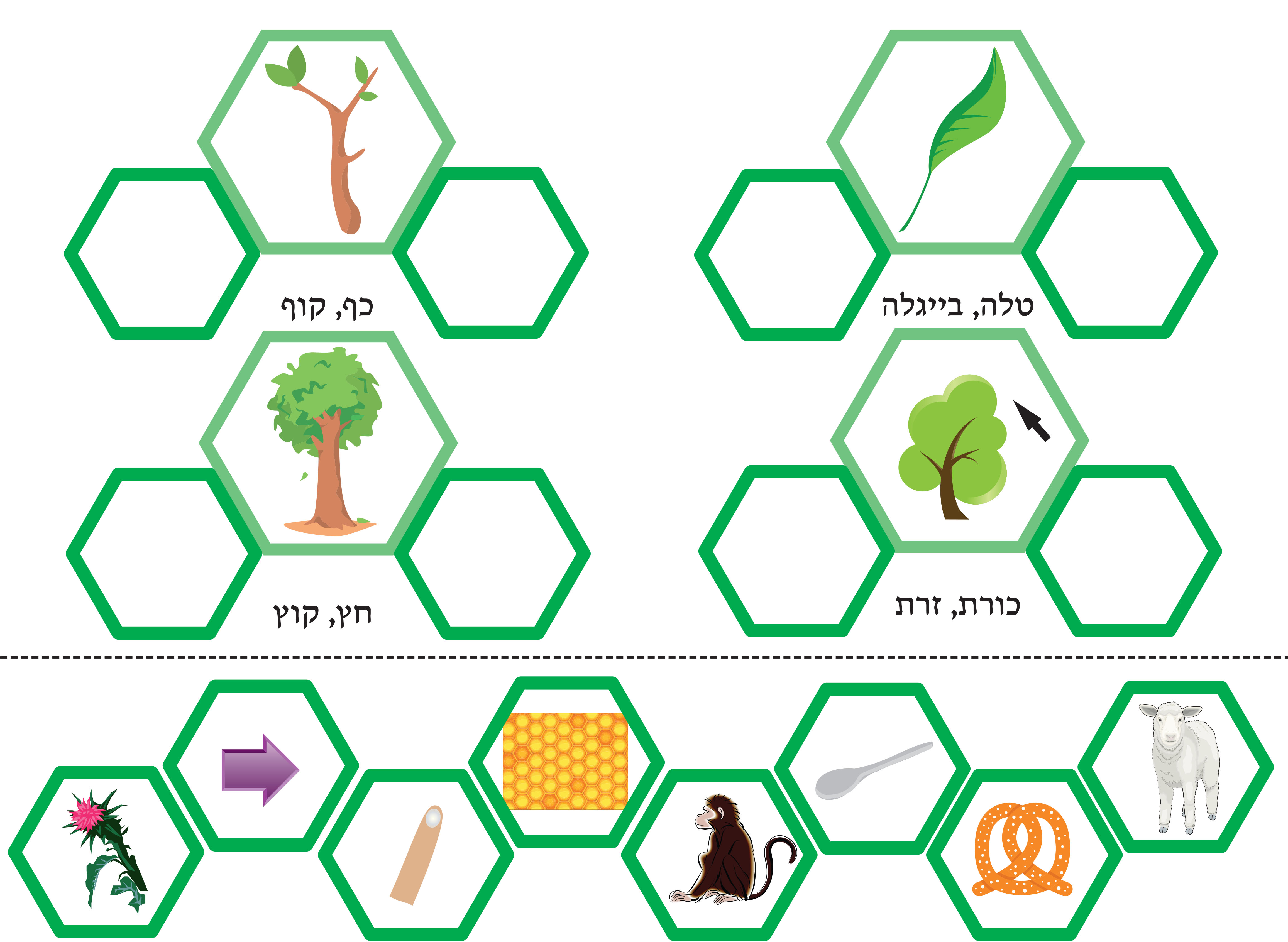 צליל סוגר העץ-1