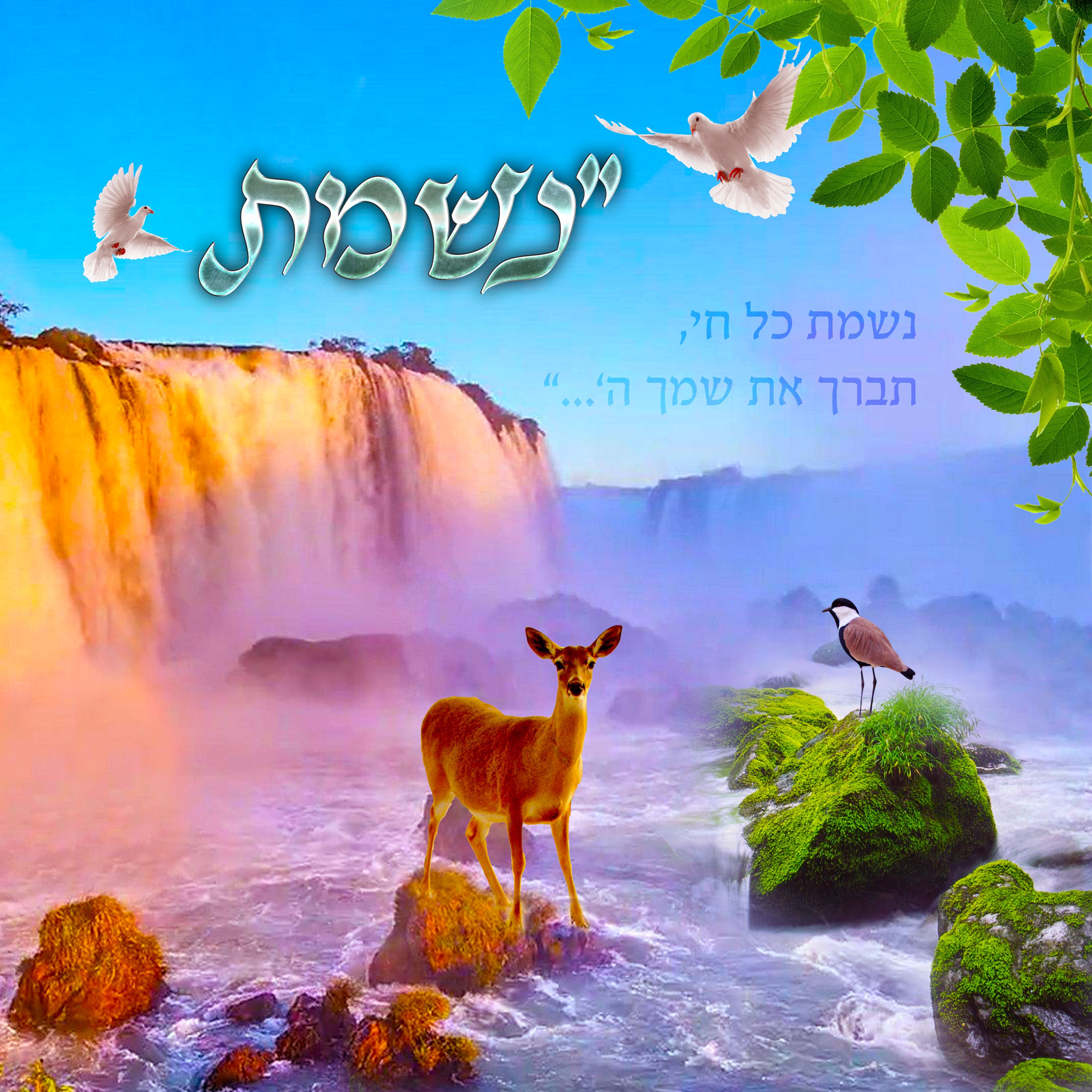 צמאה נפשי.jpg