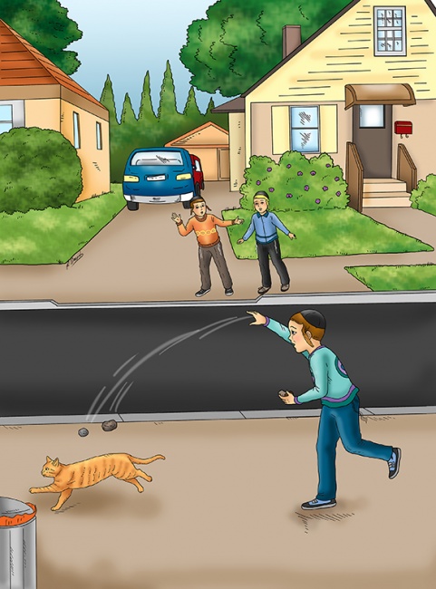 צער בעלי חיים