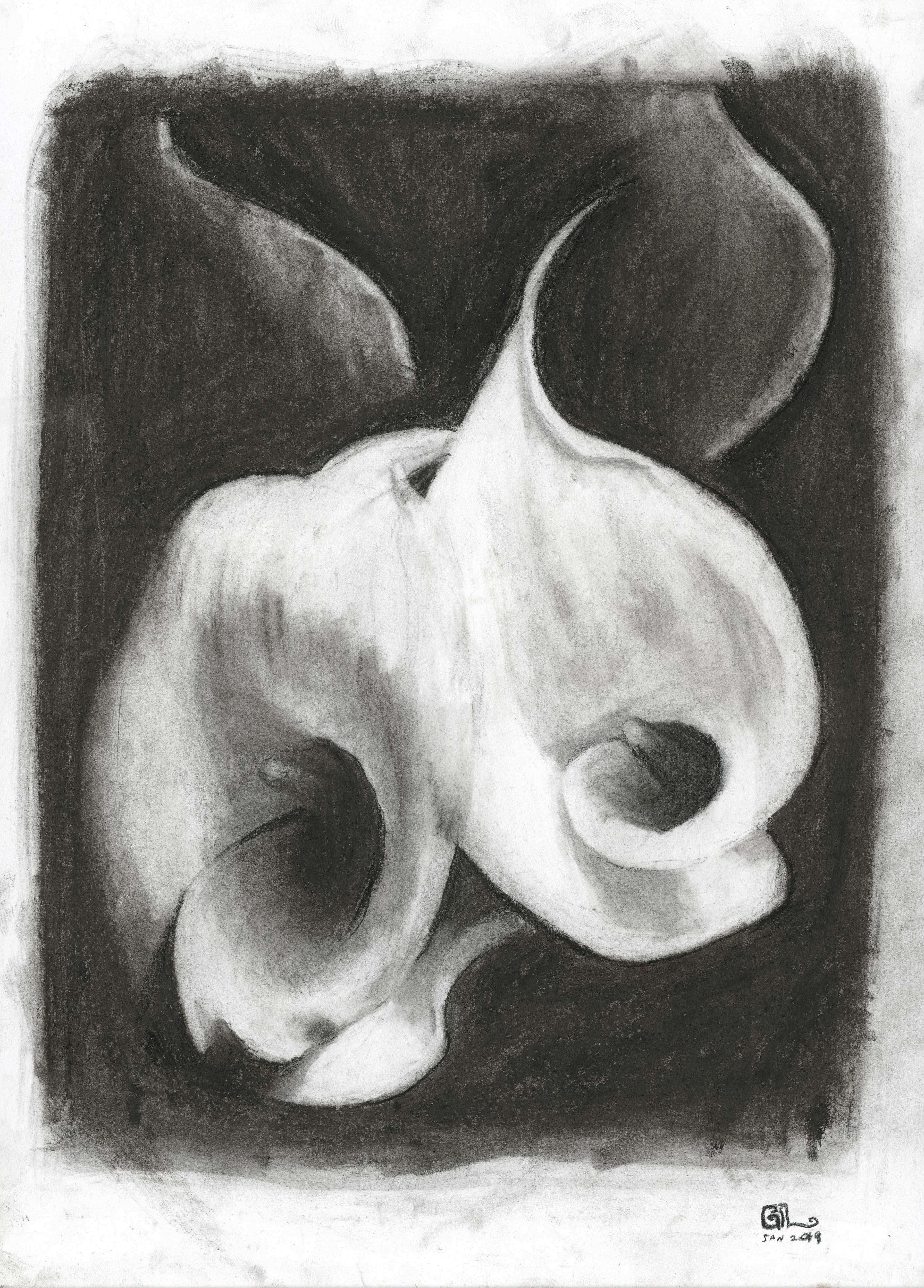 קאלות. רישום בפחם