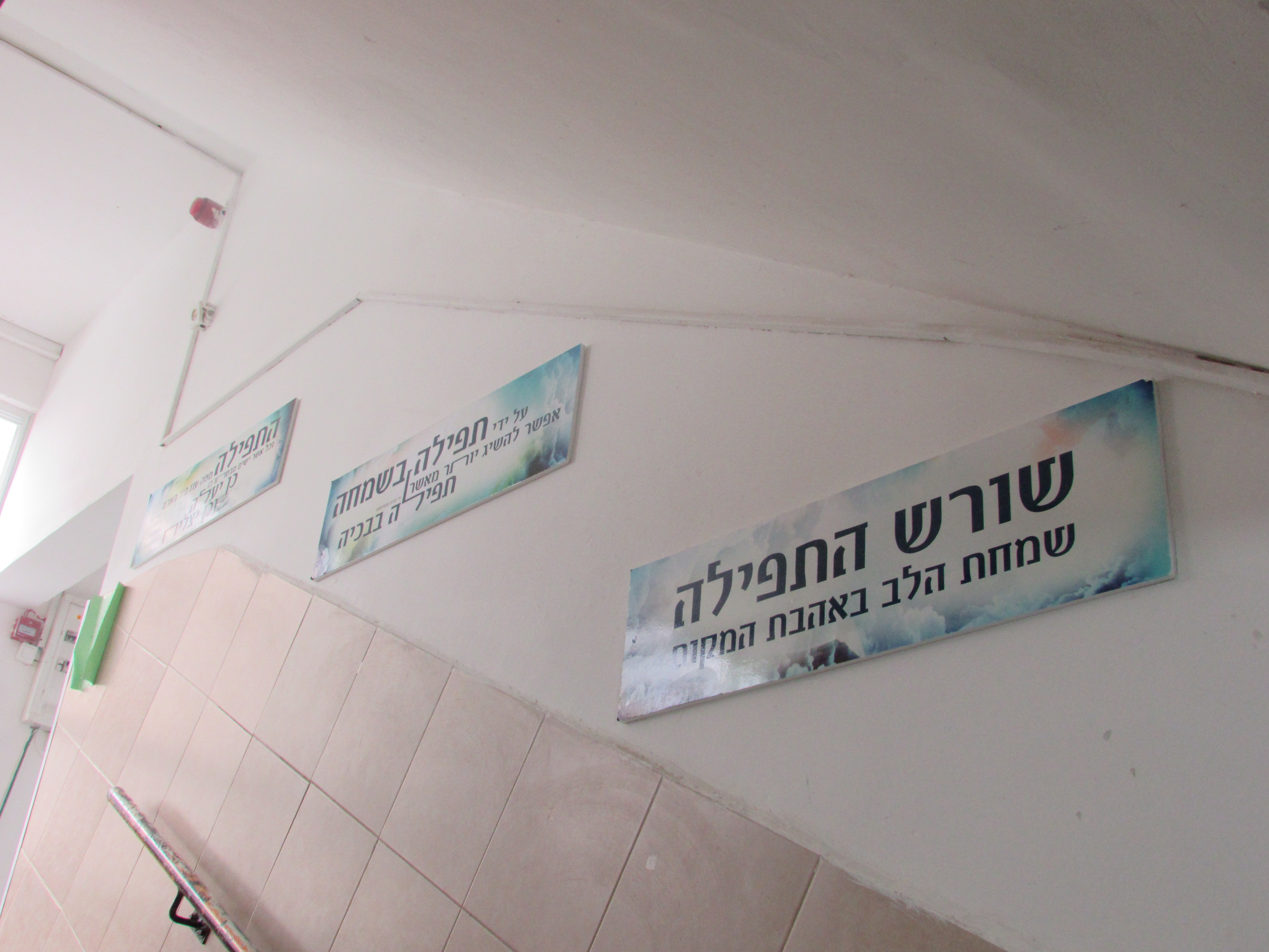 קאפות 5 לגרמי מדרגות בסמינר