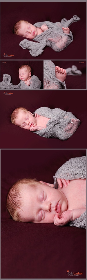 קולאז' MALKI_LASKER