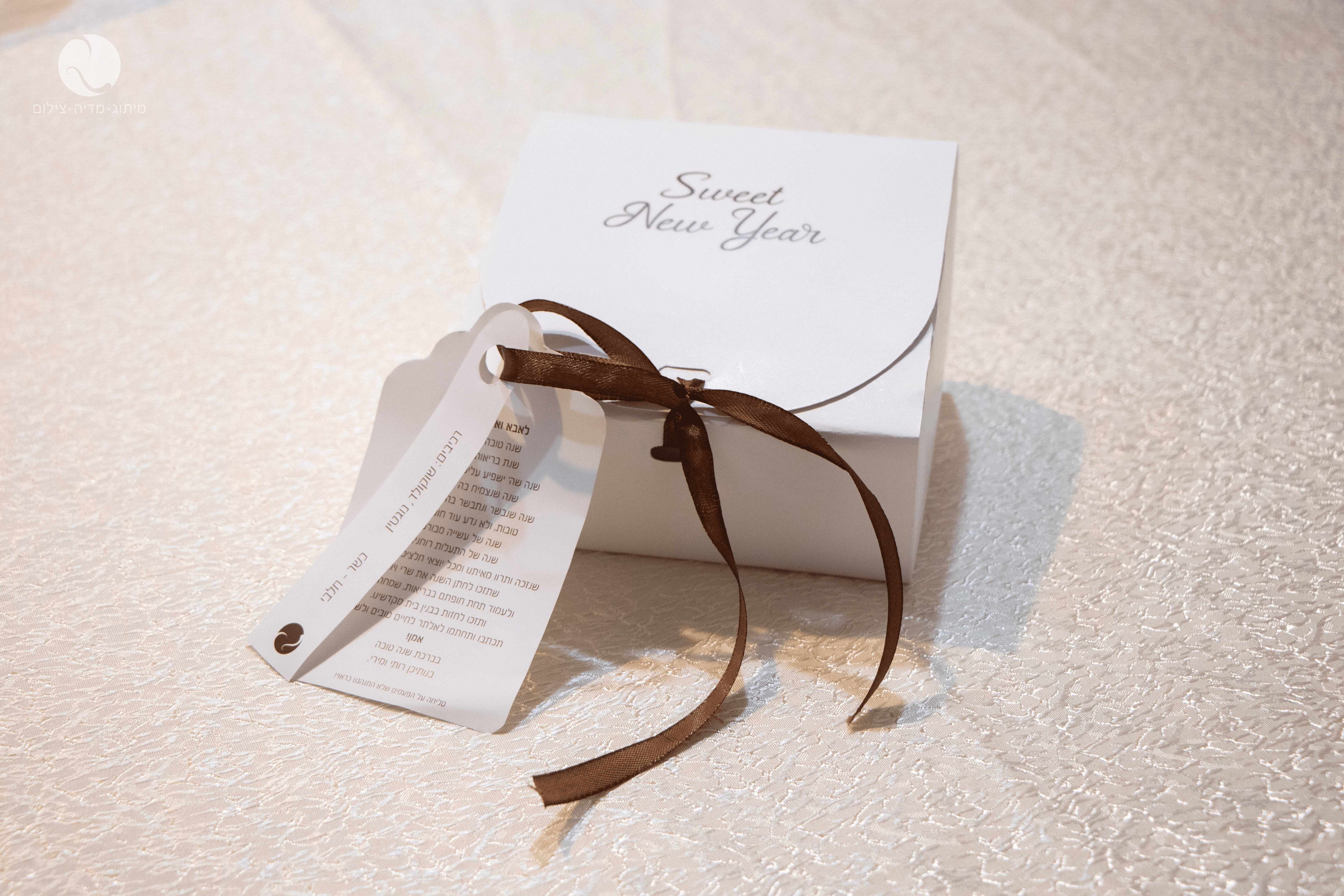 קופסאת פטיפורים.png