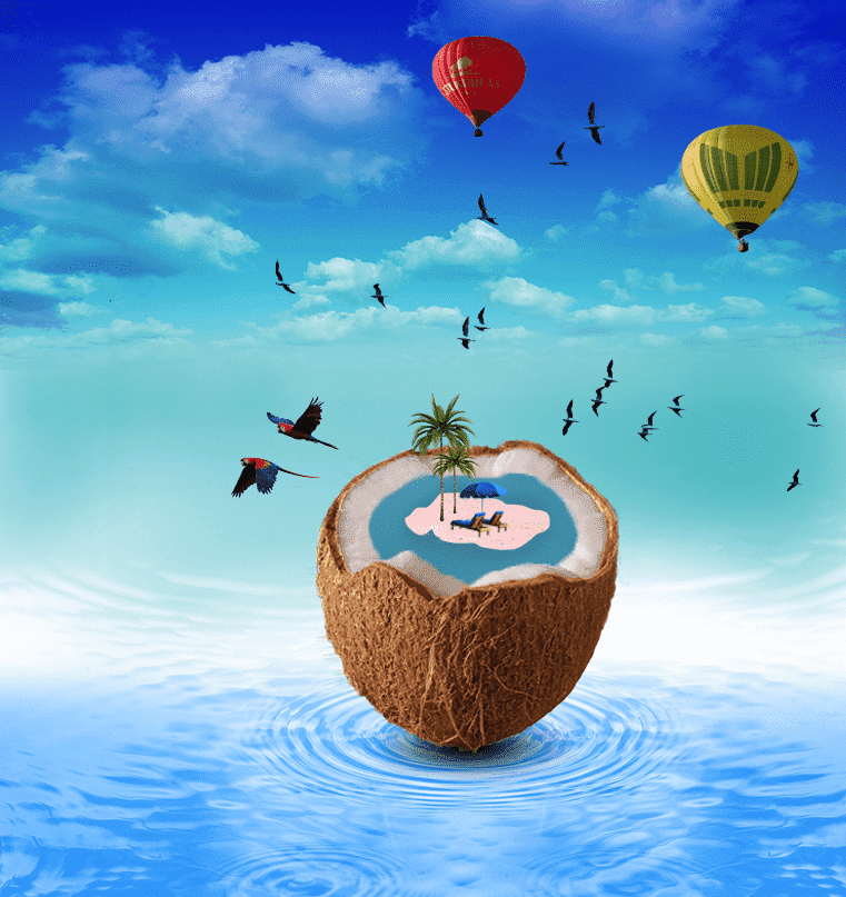 קוקוס-ים_optimized (1).png