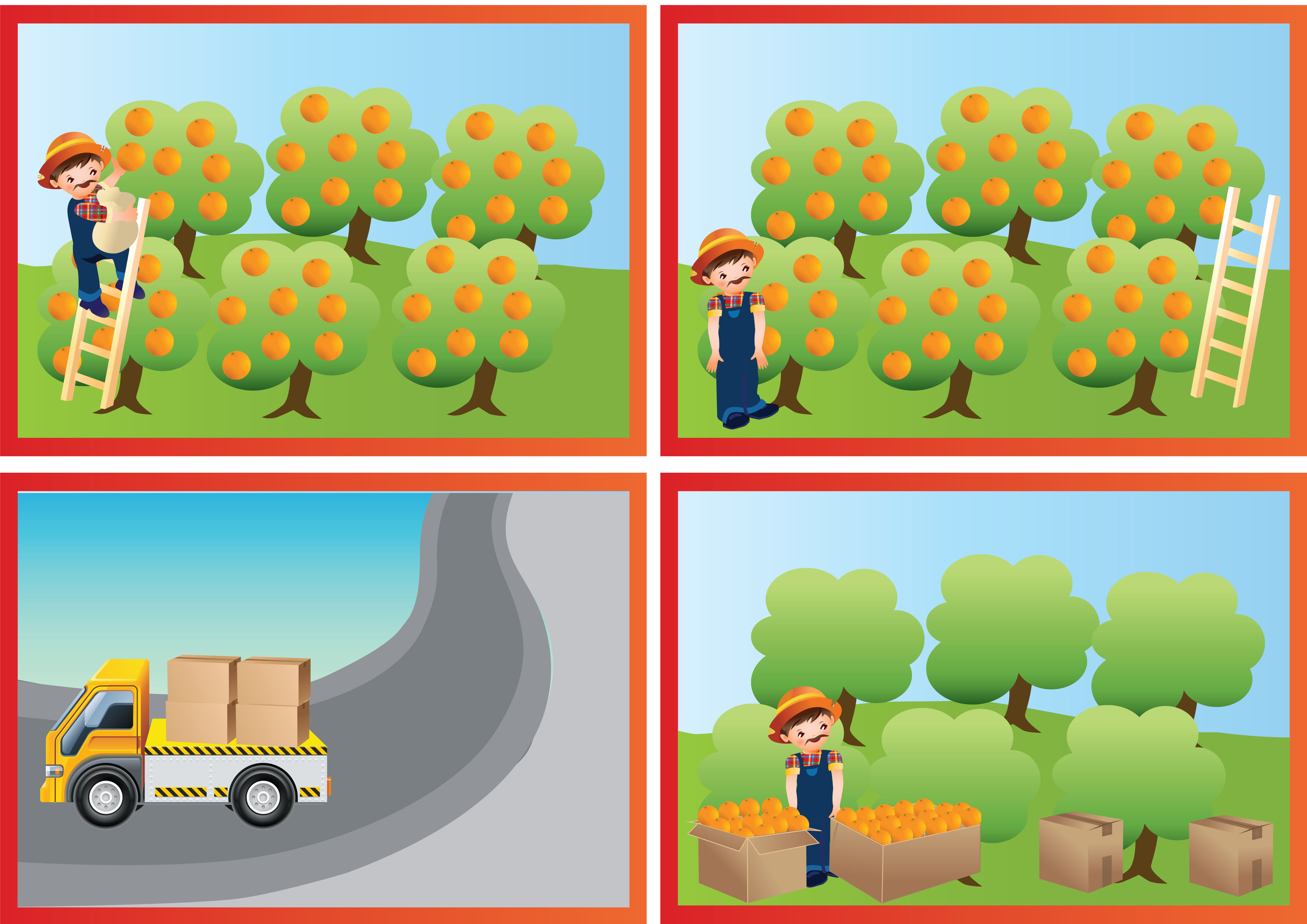 קטיף תפוזים צבעוני