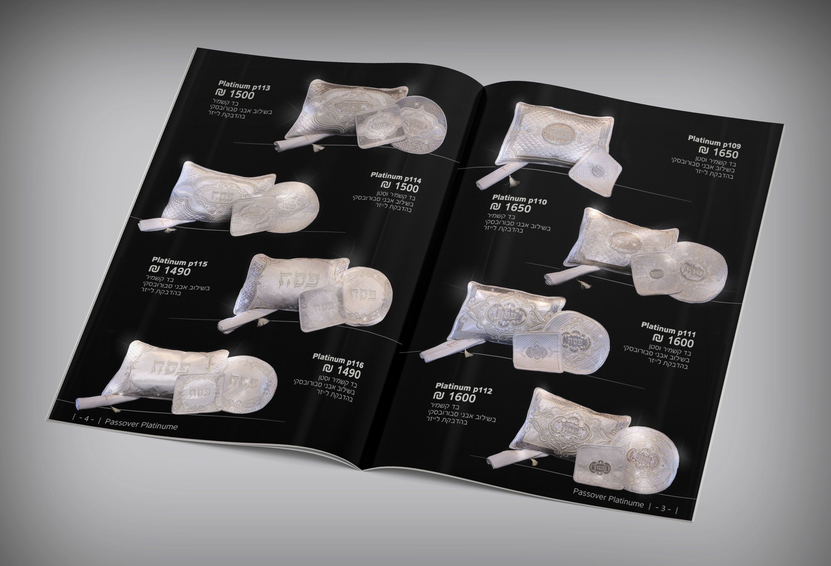 קטלוג 3.jpg