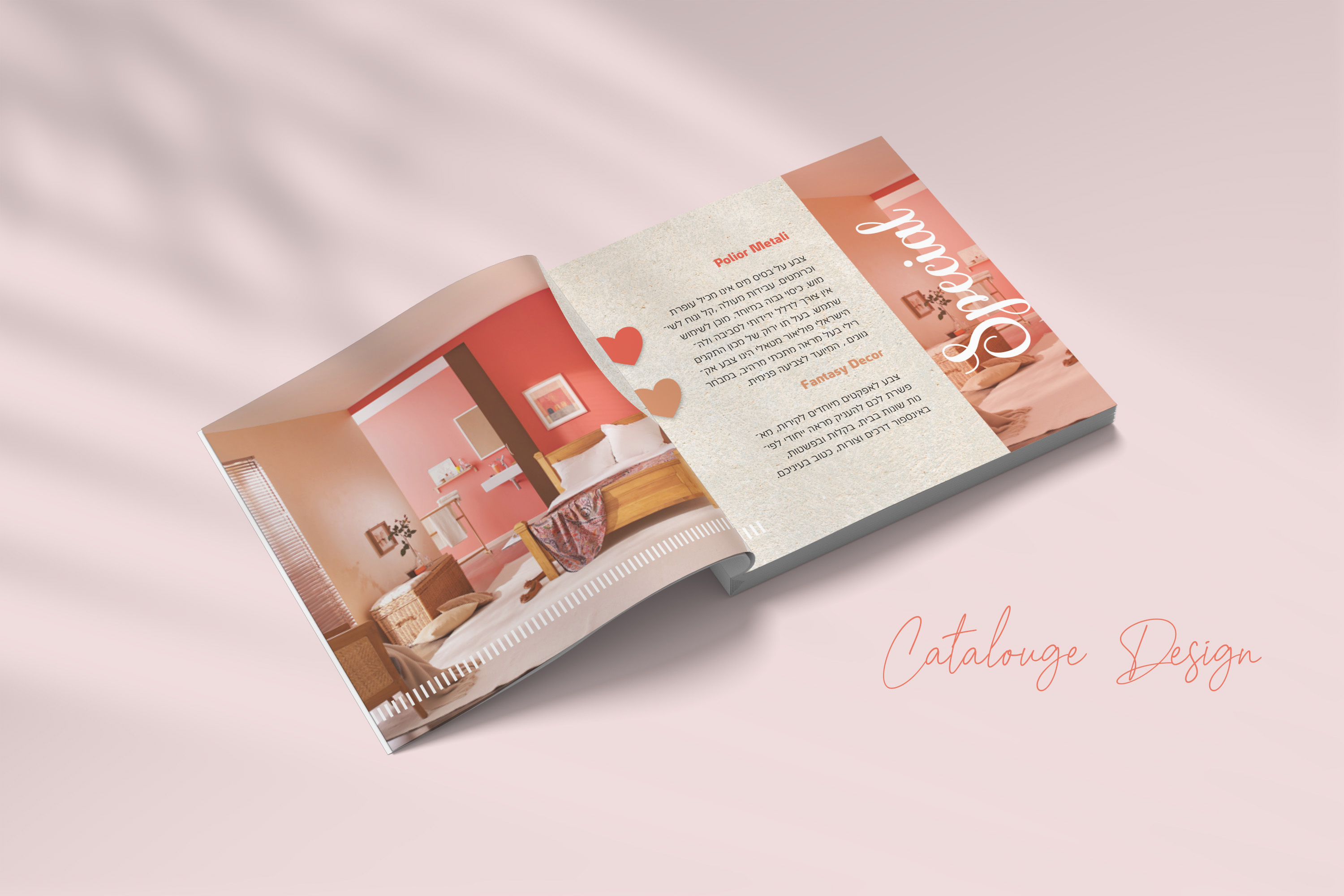קטלוג.jpg