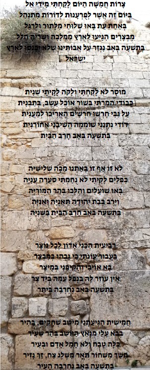 קינה לתשעה באב.