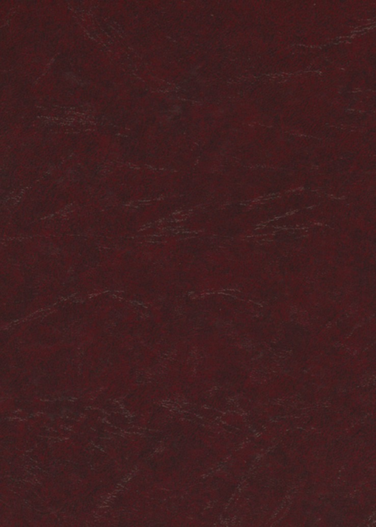 קיצור שולחן לבחורי החסידות אחורי