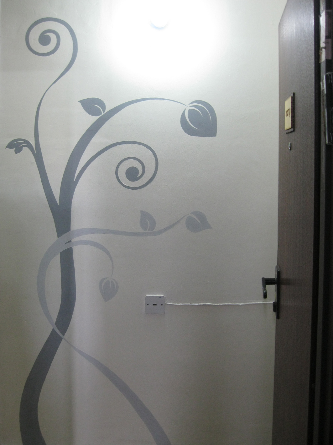 קיר דקורטיבי .
בקו נקי,חדיש ונגיעות אלגנטי.

התאורה לא מוצלחת,ולכן התקבל הרקע האפור.