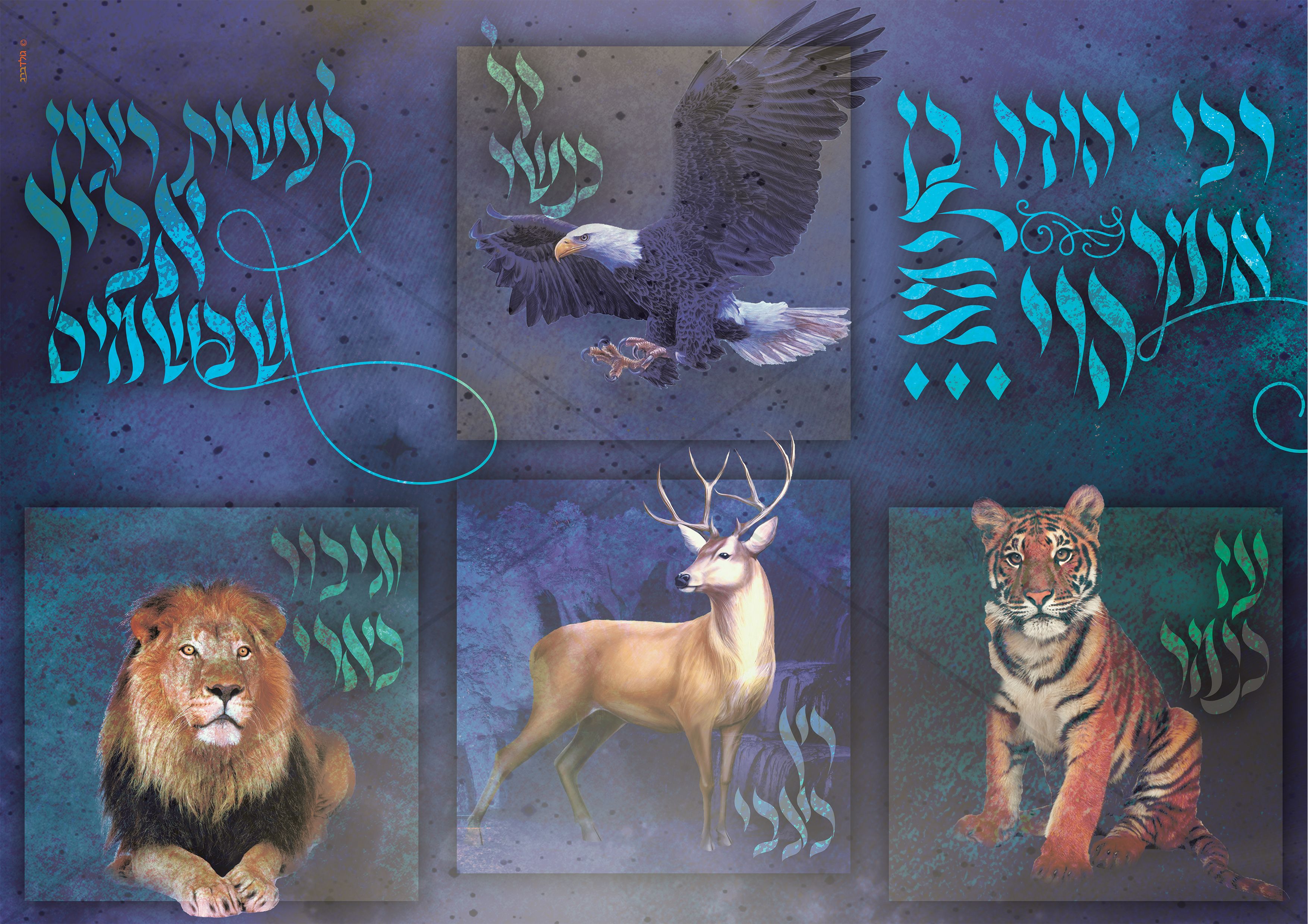 קישוט לסוכות