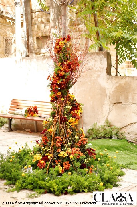 קלאסה מדורת לג בעומר.JPG