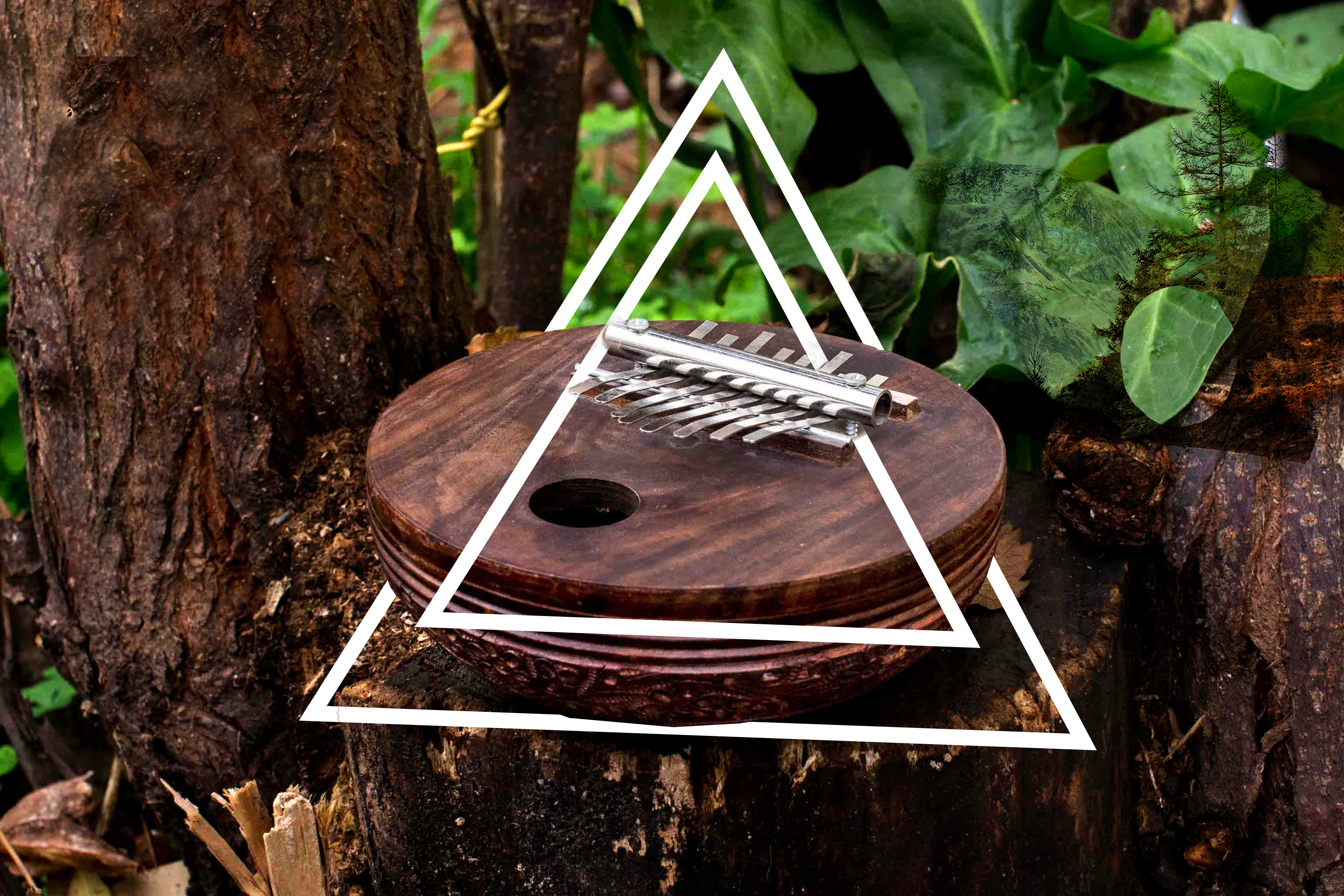 קליבמה נכון.png