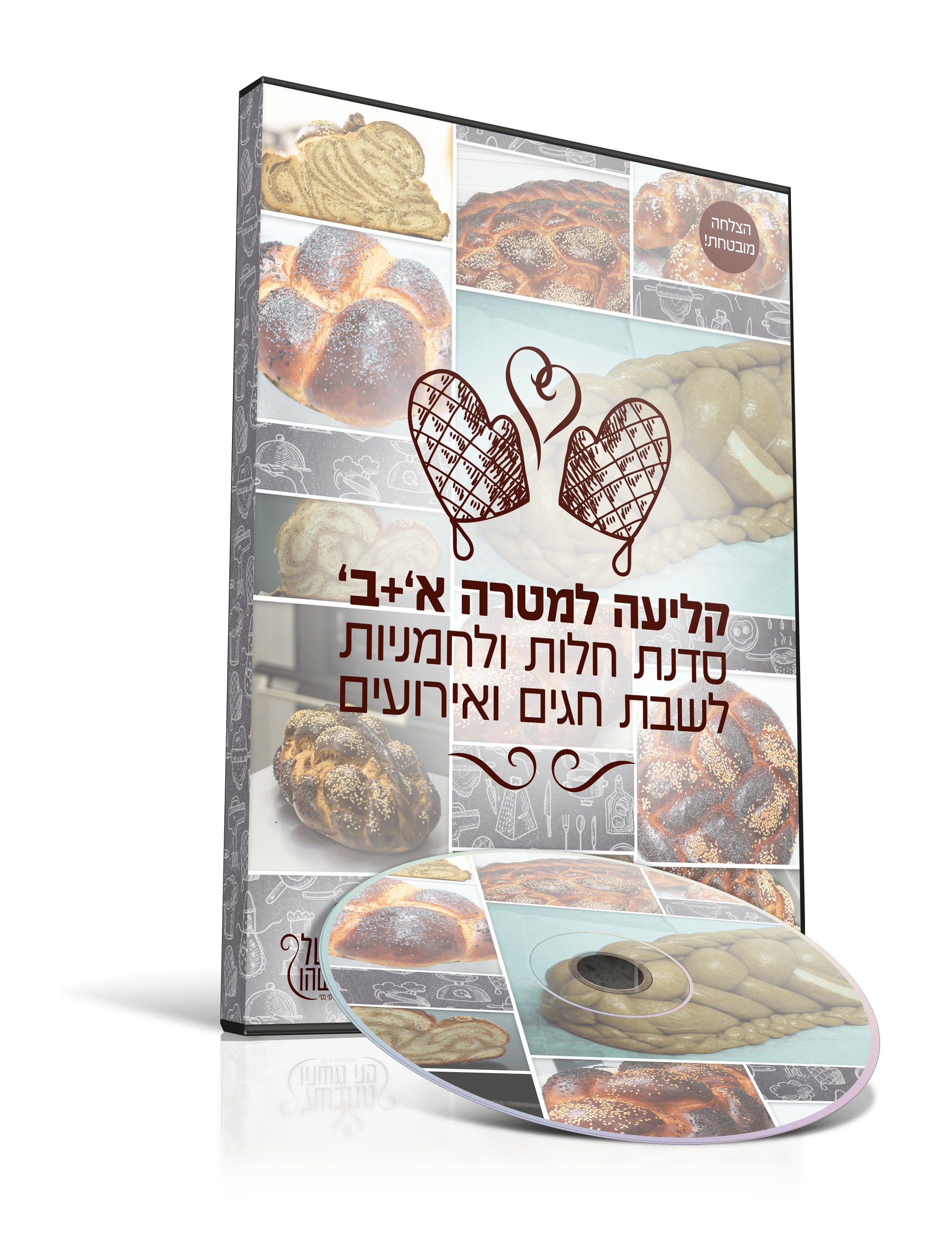 קליעה למטרהDVD002.png