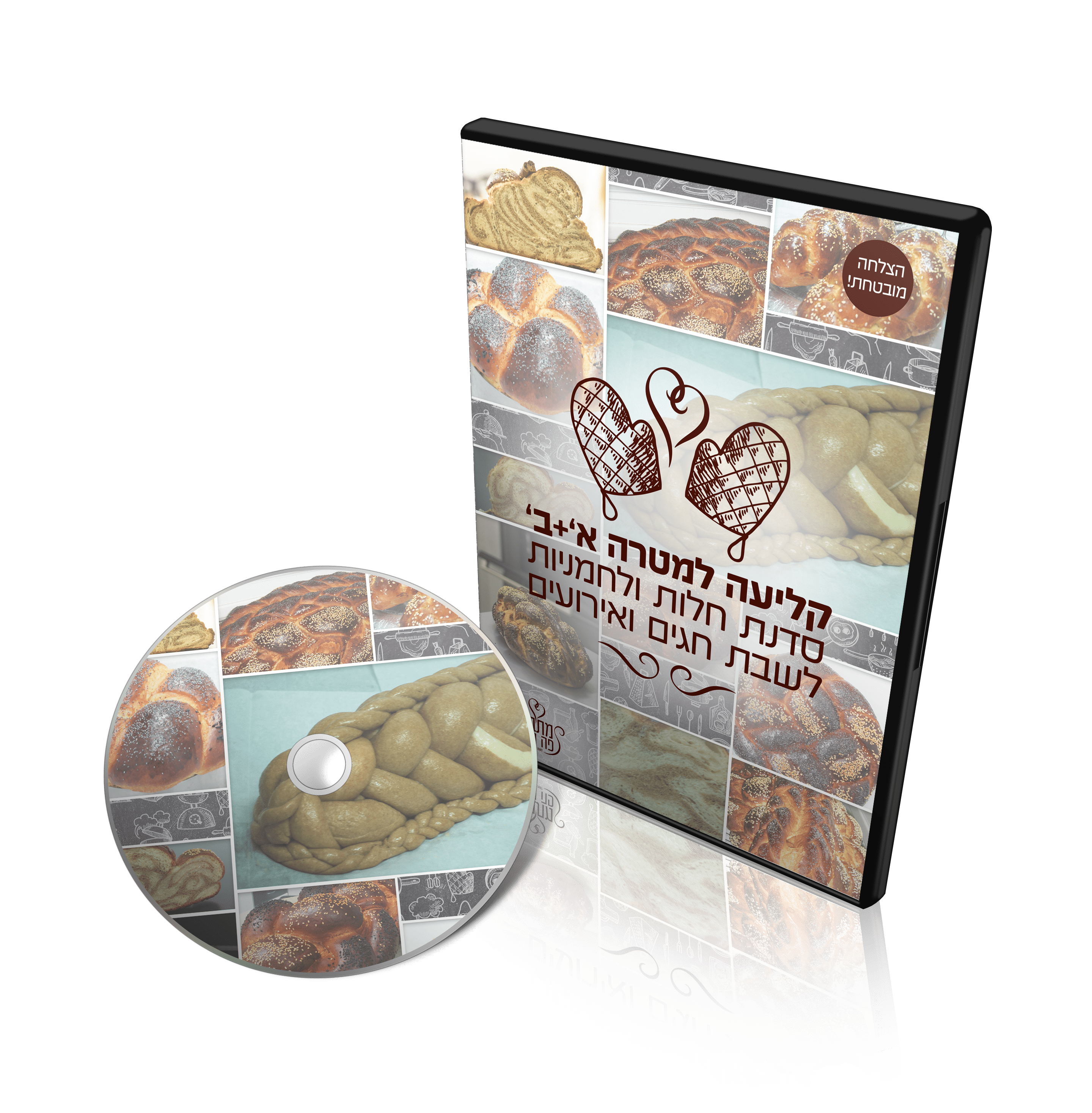 קליעה למטרהDVD008.png