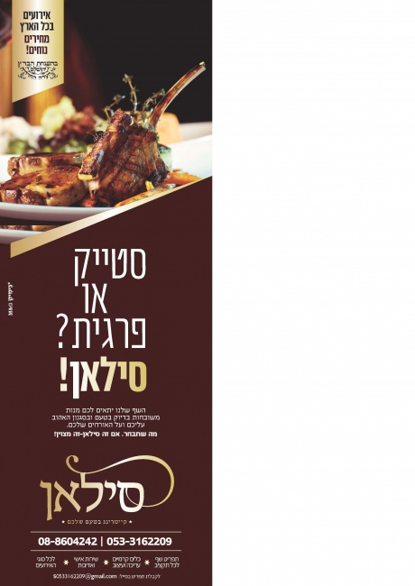 קמפיין סילאן -2