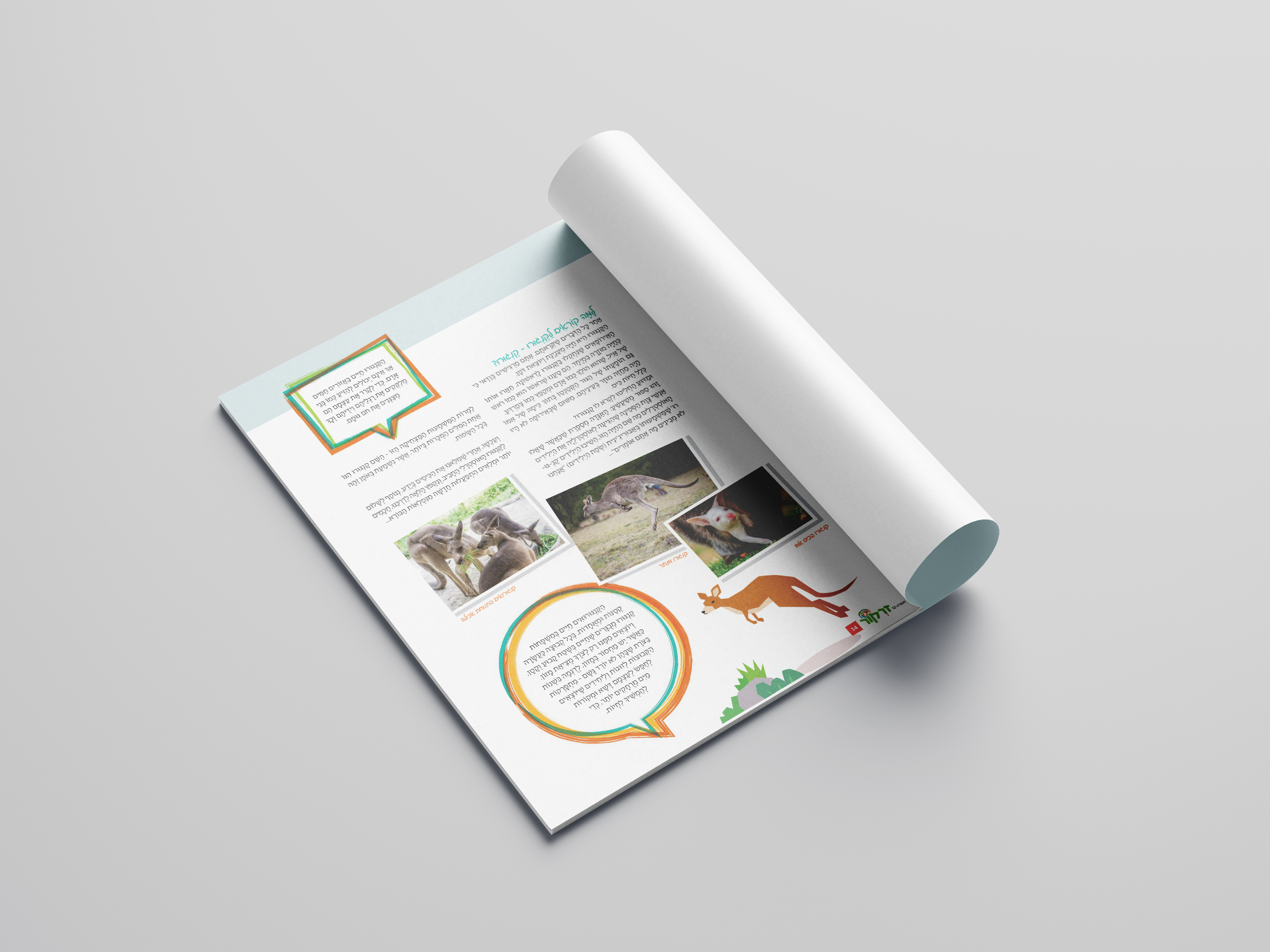 קנגורו- חלק 2