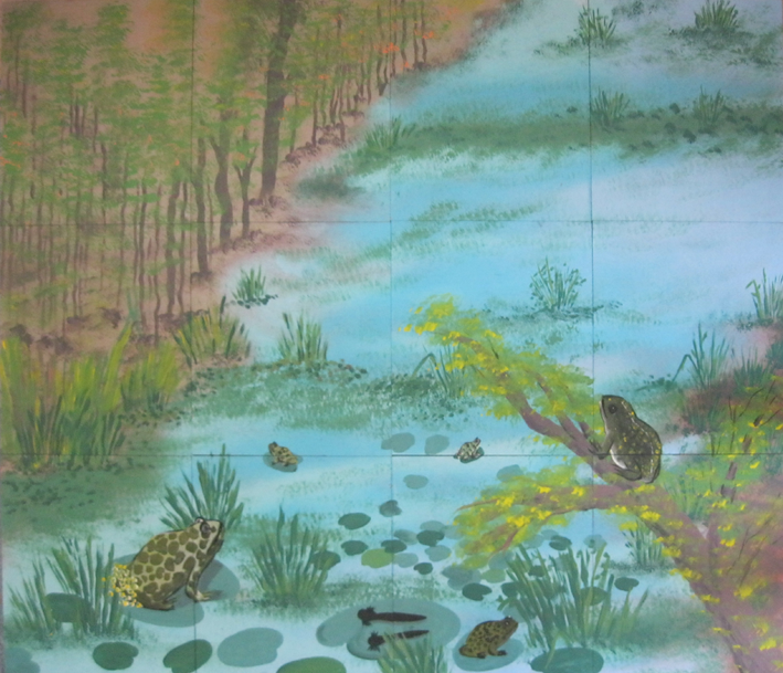 קרפדות וראשנים בביצה
פזל  מדיקט.