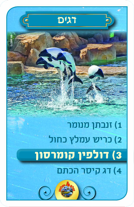 רביעיות עולם ומלואו