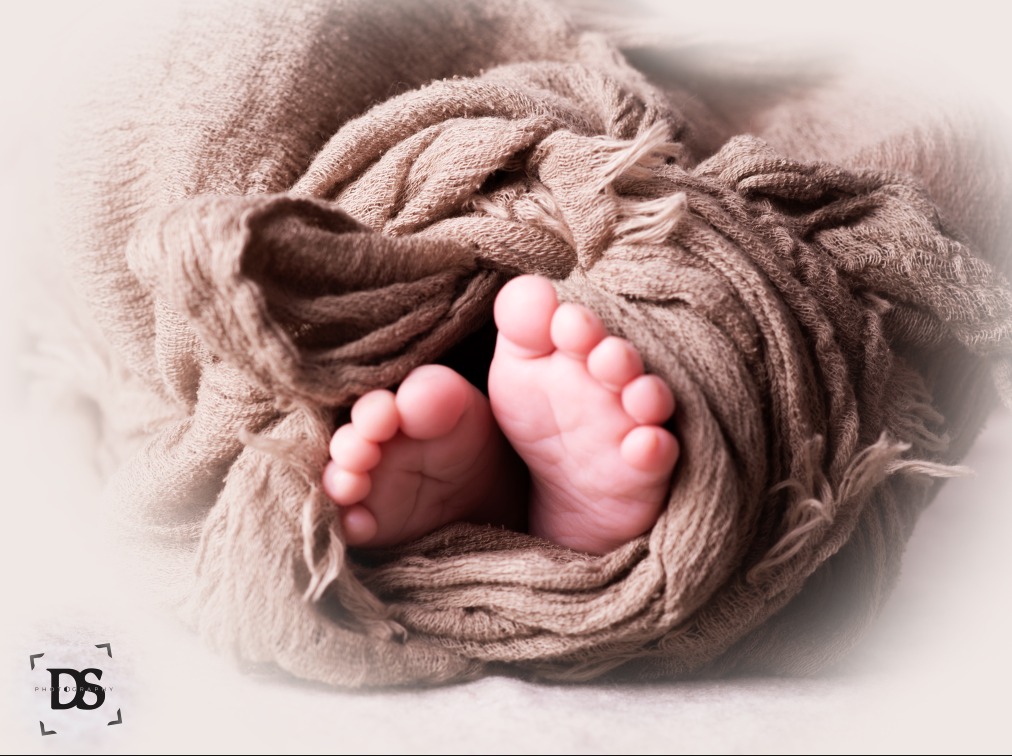 רגלייים ממיסות ניו בורן.jpeg