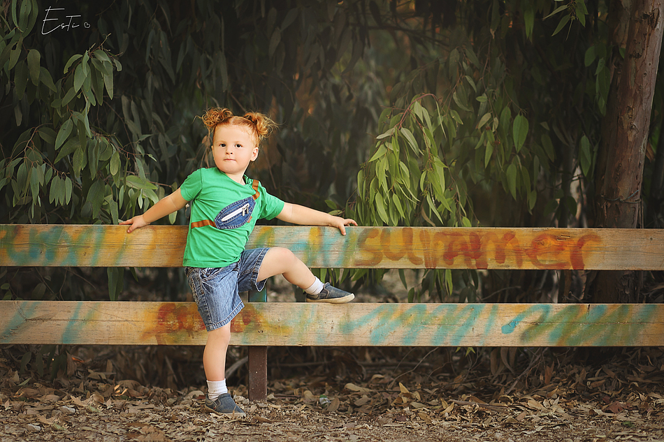 רגל גדר מ.jpg