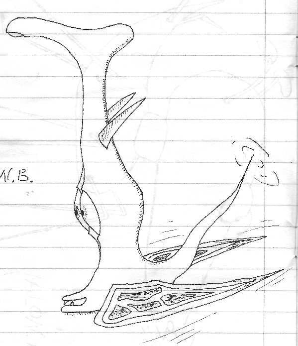 רגל מכוכב אחר