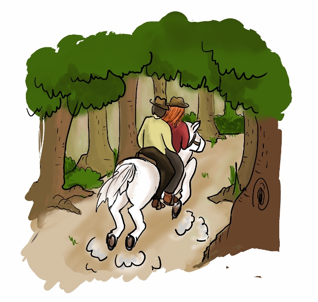 רוכבים מהגב